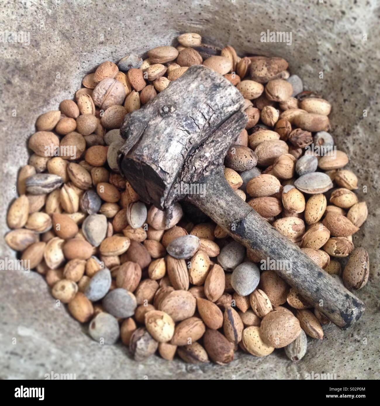 Un martello di legno e mandorle decorare Quesos Oliva artigianale caseificio a Villaluenga del Rosario, Parque Natural Sierra de Grazalema, Cadice - Immagine stock catturata con smartphone