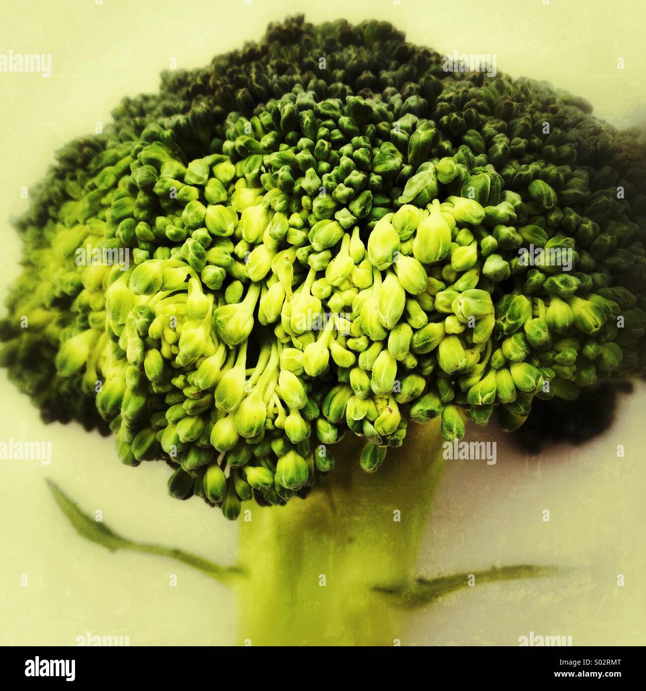 Broccolo - Immagine stock catturata con smartphone
