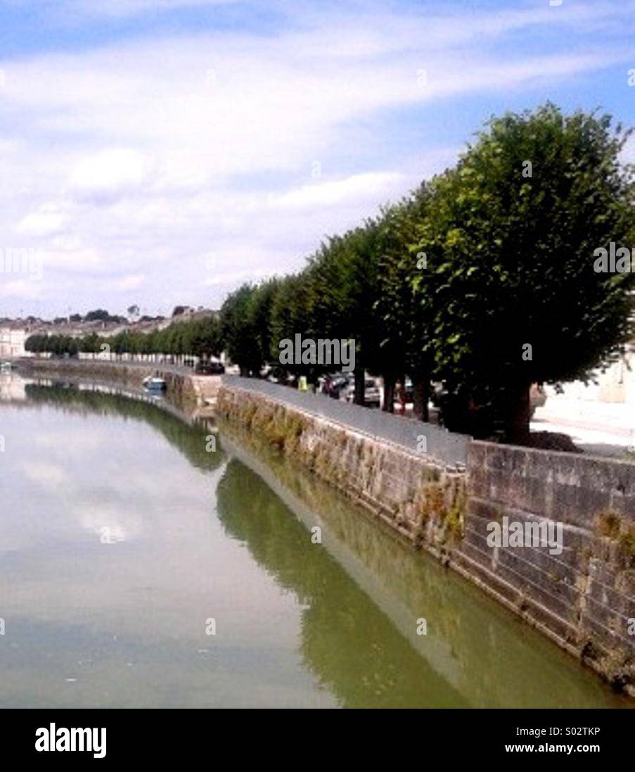 Viale di alberi dal fiume in Francia - Immagine stock catturata con smartphone