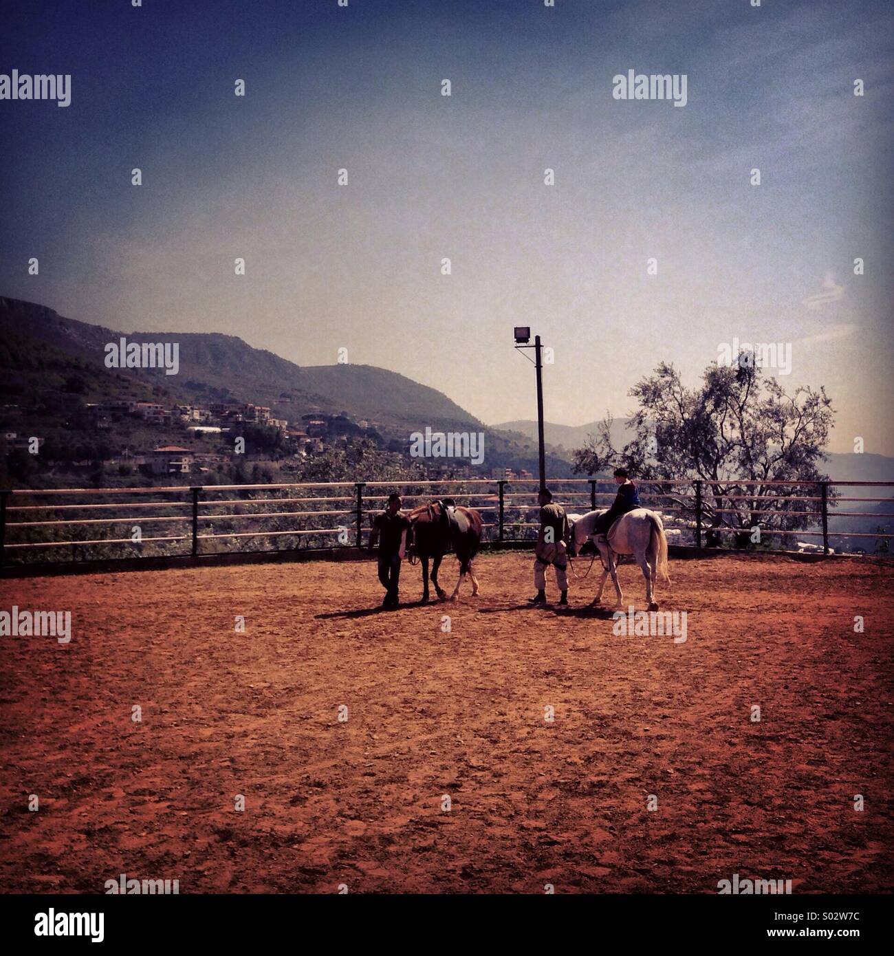 Equitazione - Libano Medio Oriente - Immagine stock catturata con smartphone