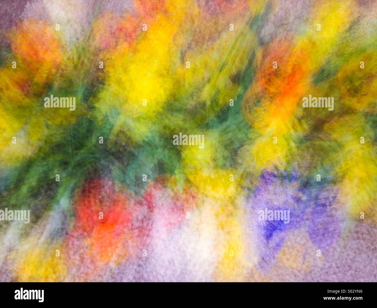 Fiore di primavera confine - Immagine stock catturata con smartphone