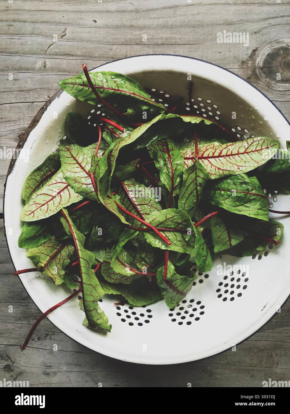 Rosso fresco Sorrel - Immagine stock catturata con smartphone