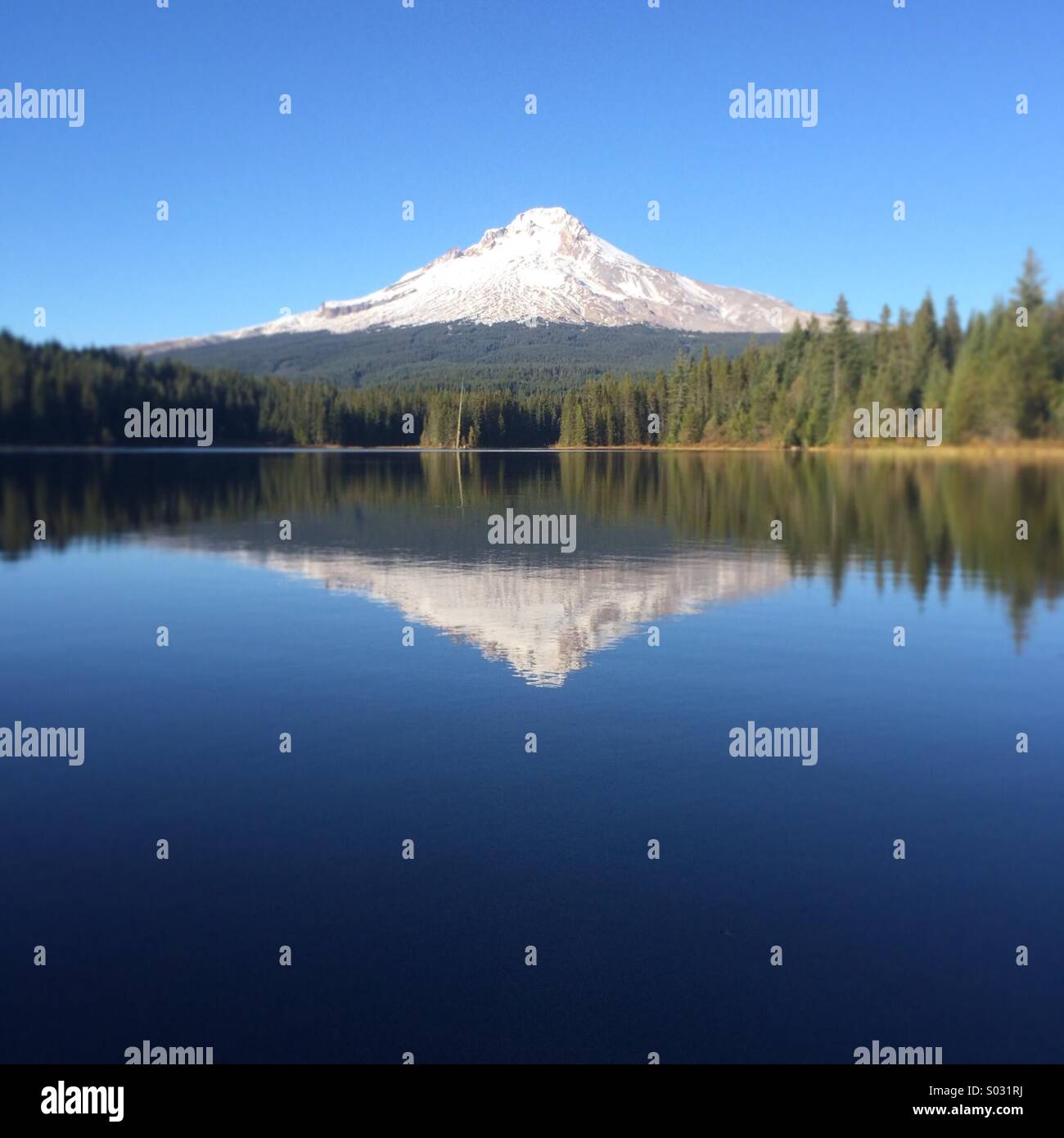 Mt. Il cofano si riflette nel lago Trillium, Oregon. Foto Stock