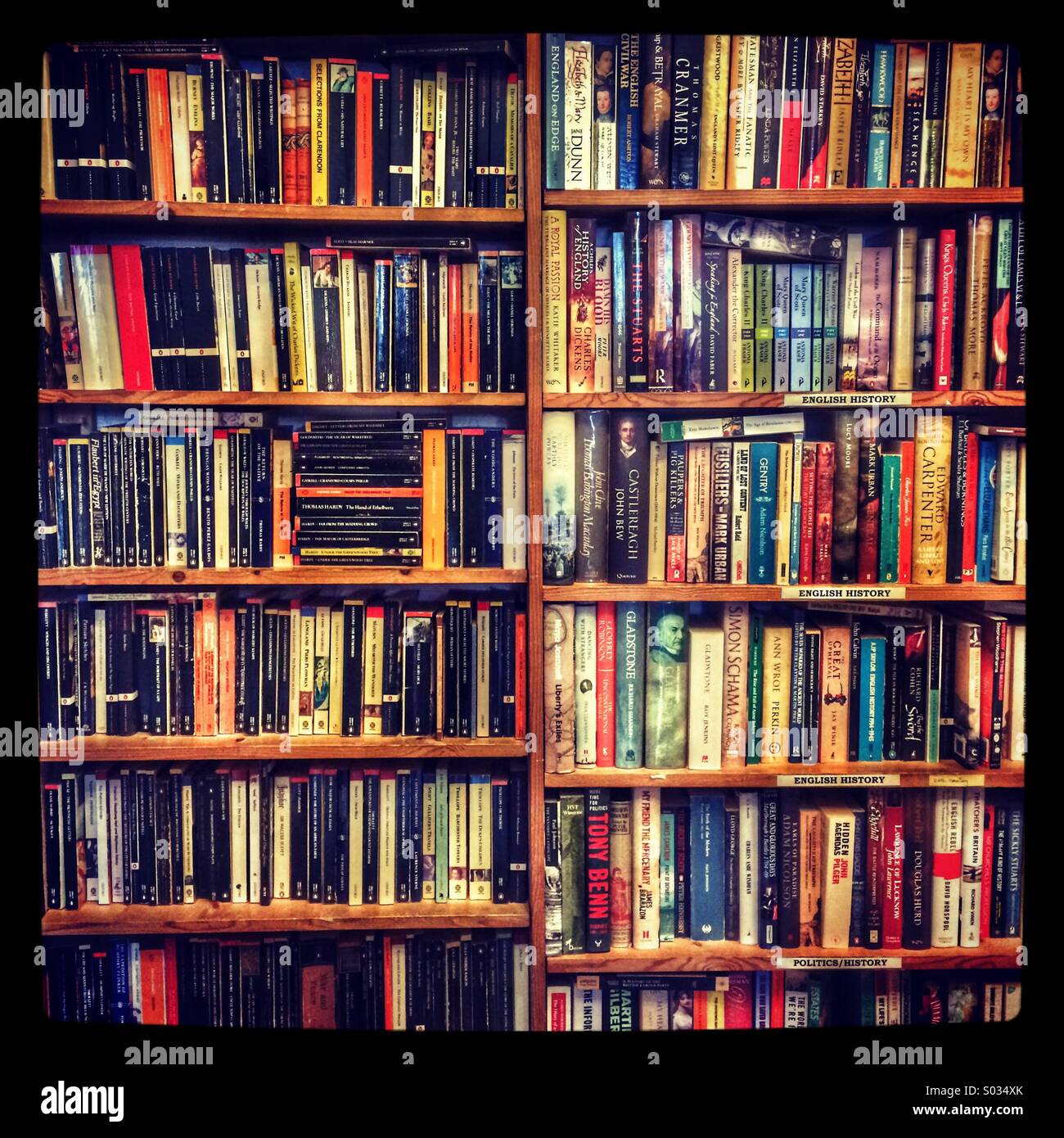 Libri sullo scaffale di una libreria Foto stock - Alamy