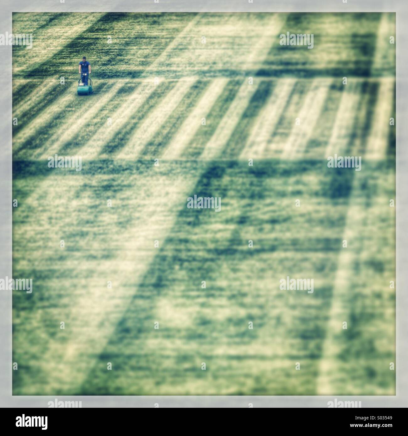 Un uomo mows un ampio campo da cricket Foto Stock