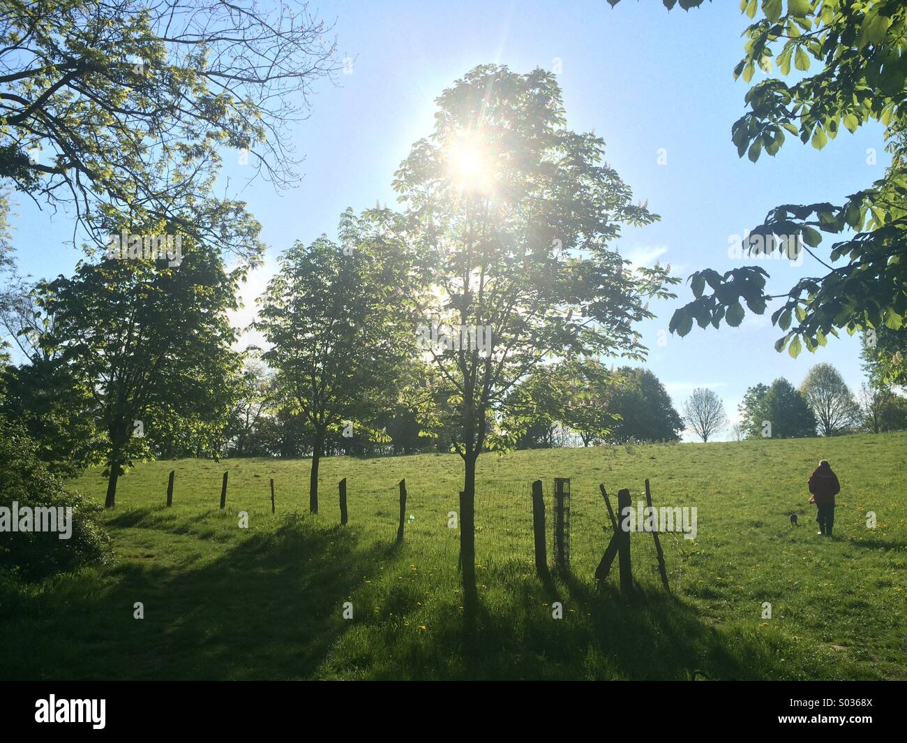 Bel tempo sulla mattina di primavera a piedi Foto Stock