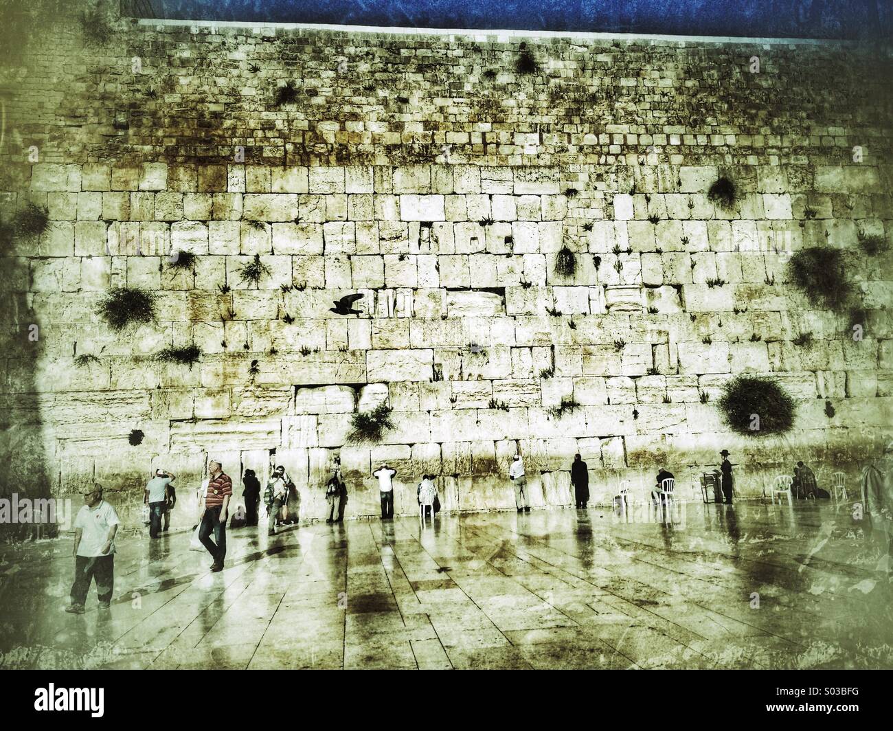 Muro occidentale di Gerusalemme Foto Stock
