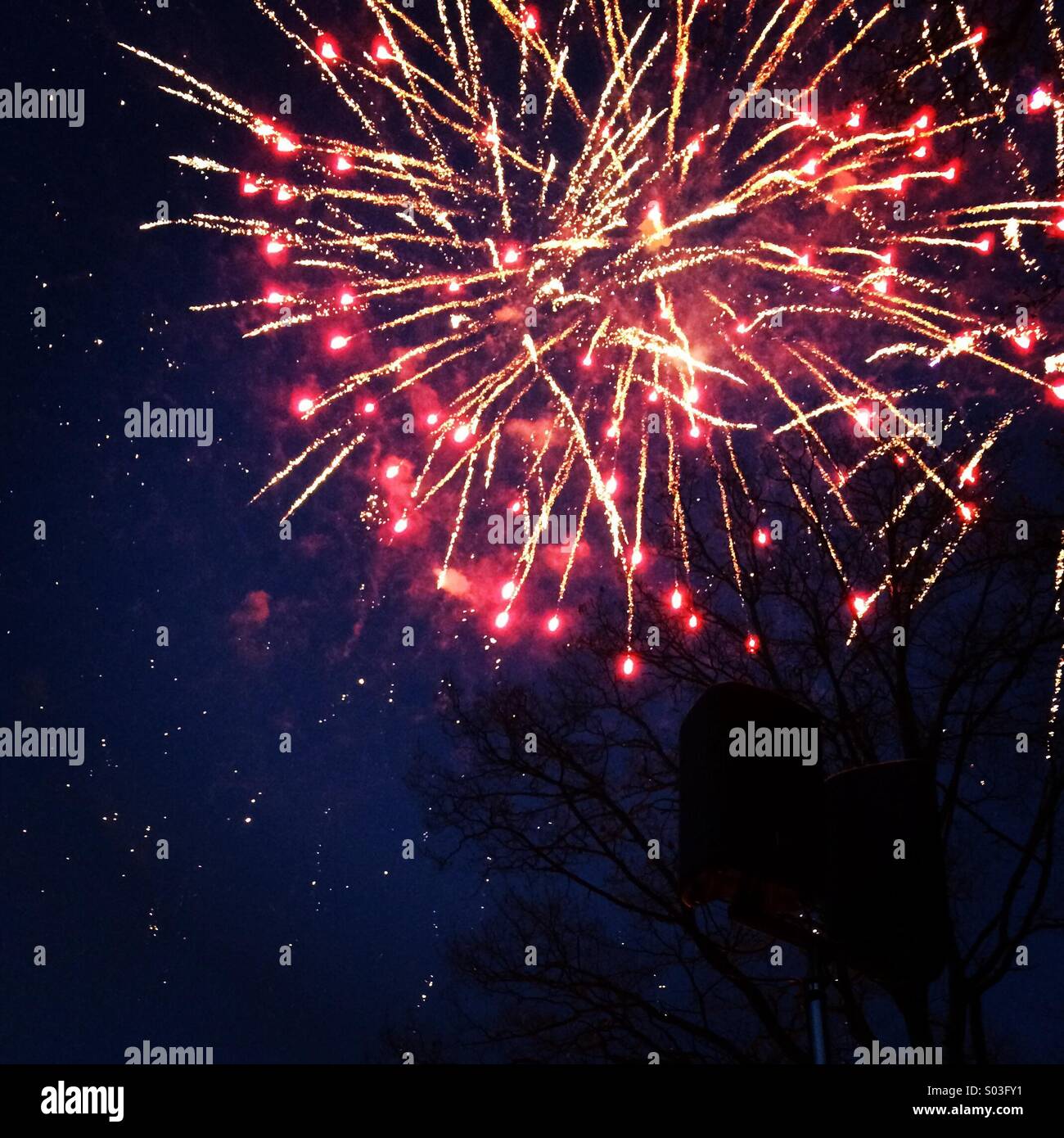 Fuochi d'artificio Foto Stock