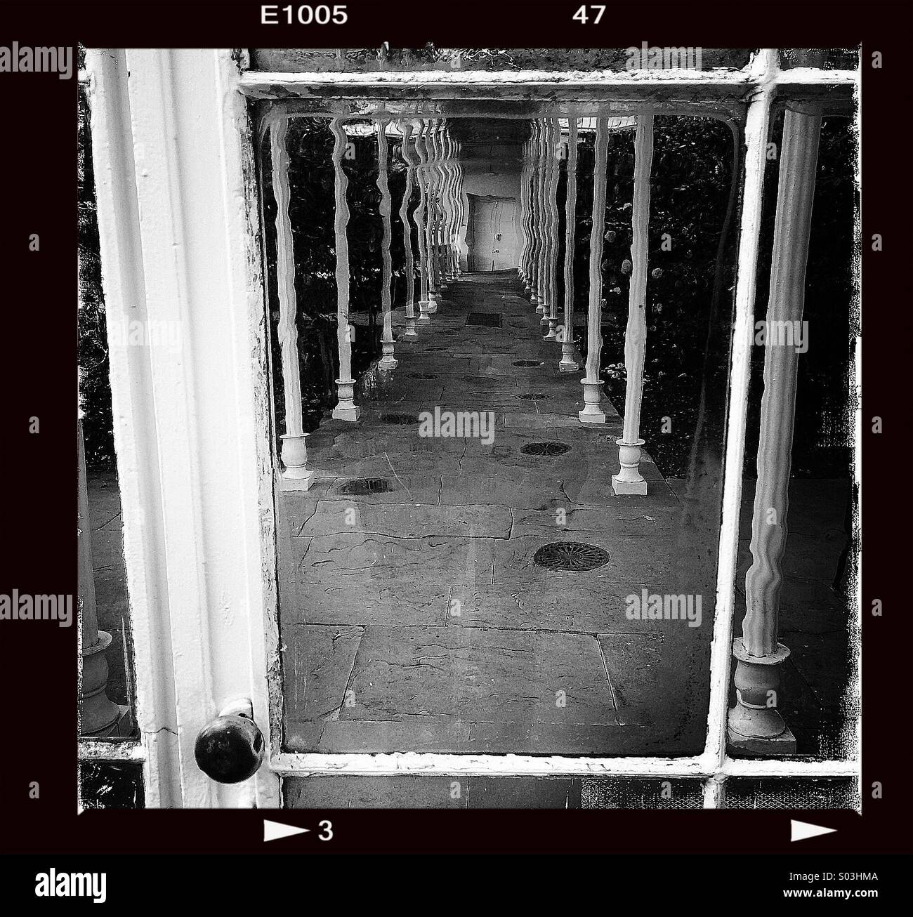 Attraverso la porta della serra vittoriana. Camellia House, Wollaton Park, Nottingham. - Immagine stock catturata con smartphone