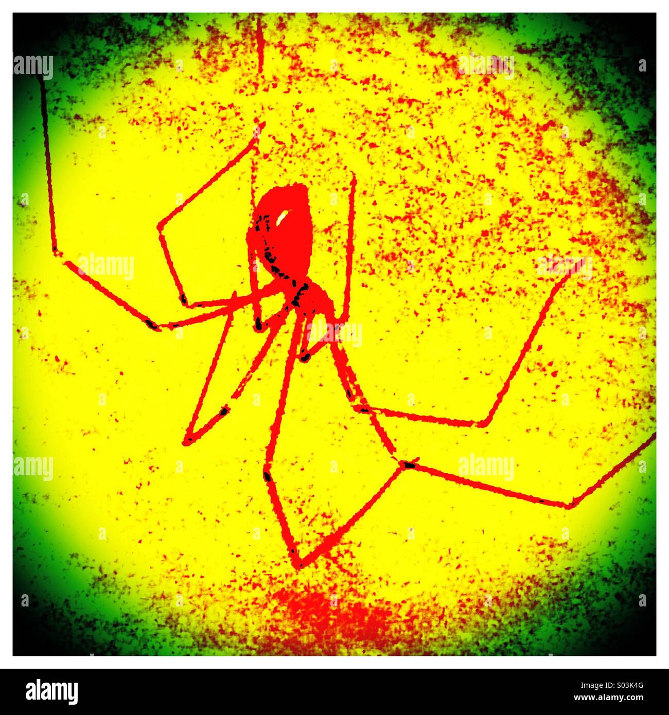 Ragno rosso sulla piastrella - Immagine stock catturata con smartphone