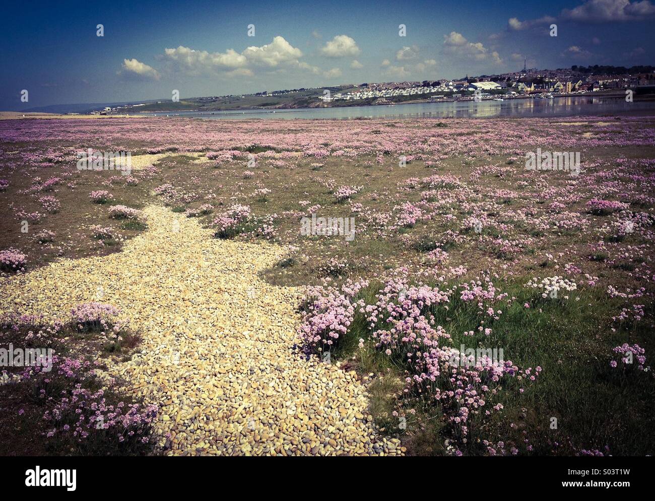 Percorso di ghiaia Foto Stock