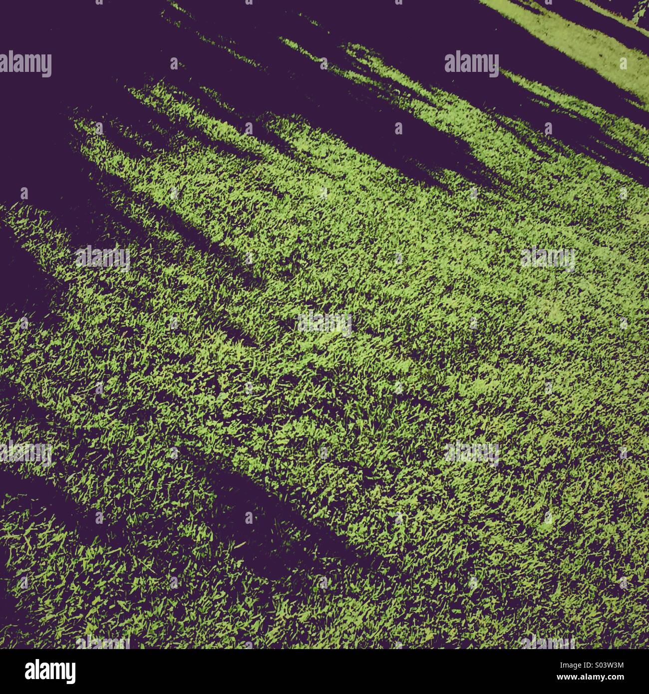 Ombre minacciose sull'erba - Immagine stock catturata con smartphone