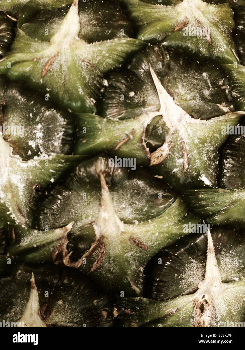 Texture di ananas - Immagine stock catturata con smartphone