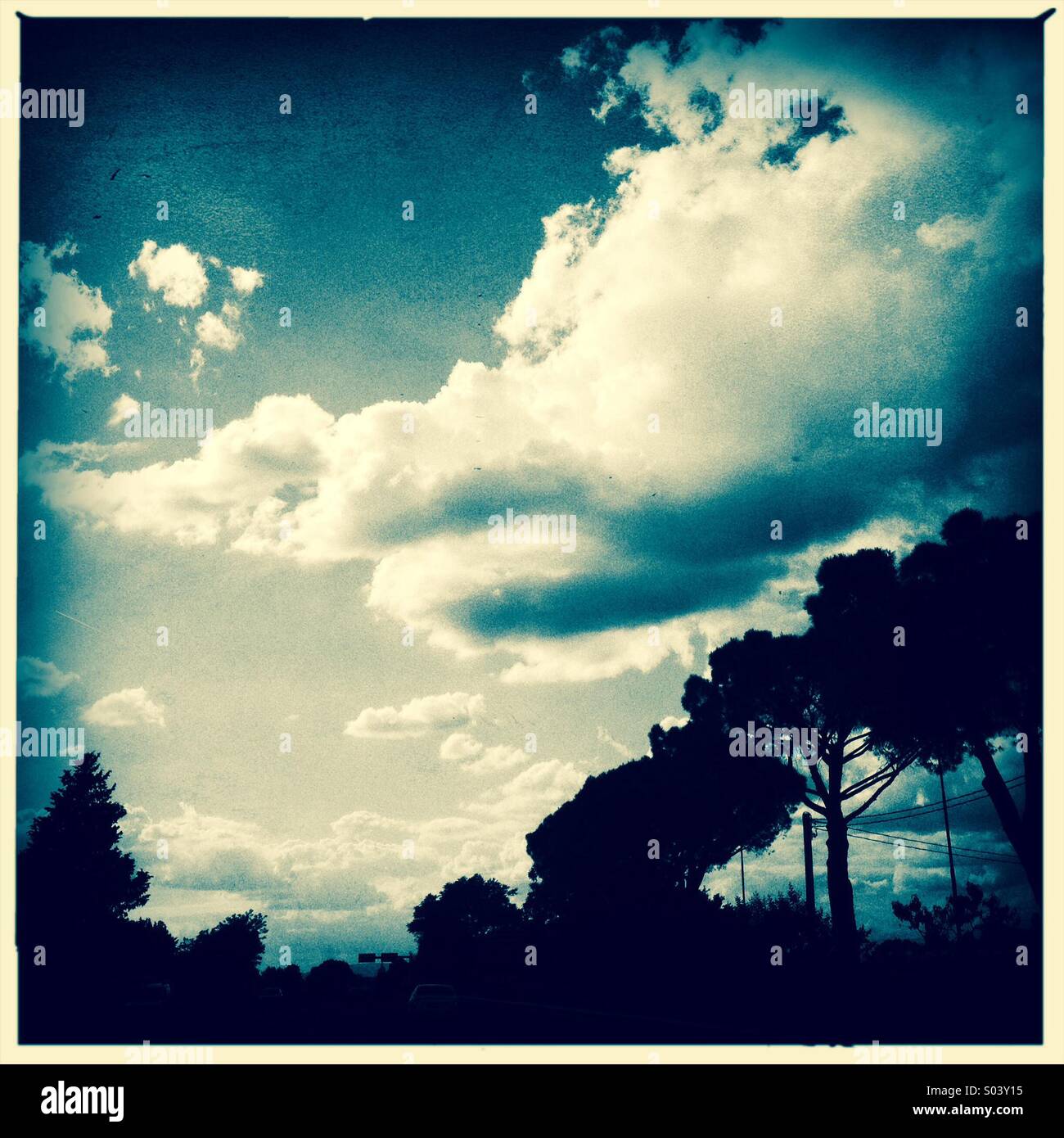 Alberi di pino e nuvole - Immagine stock catturata con smartphone