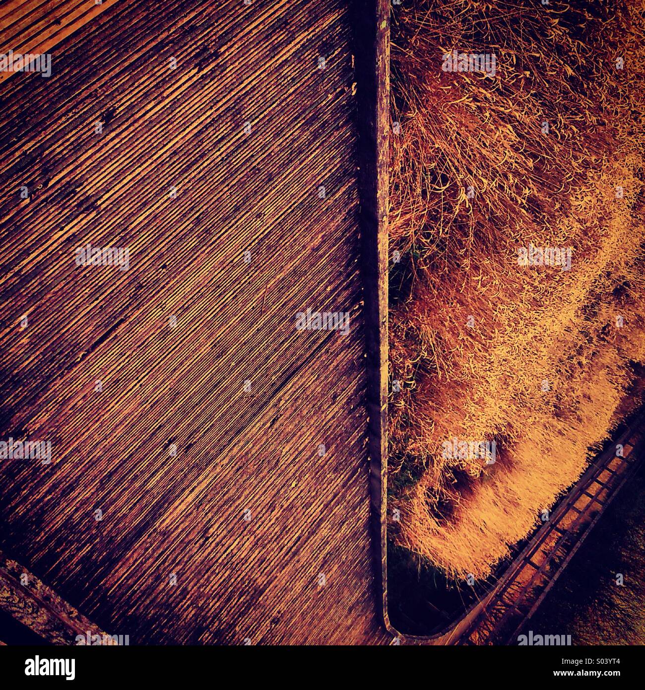 Vista astratta di Boardwalk e canne - Immagine stock catturata con smartphone