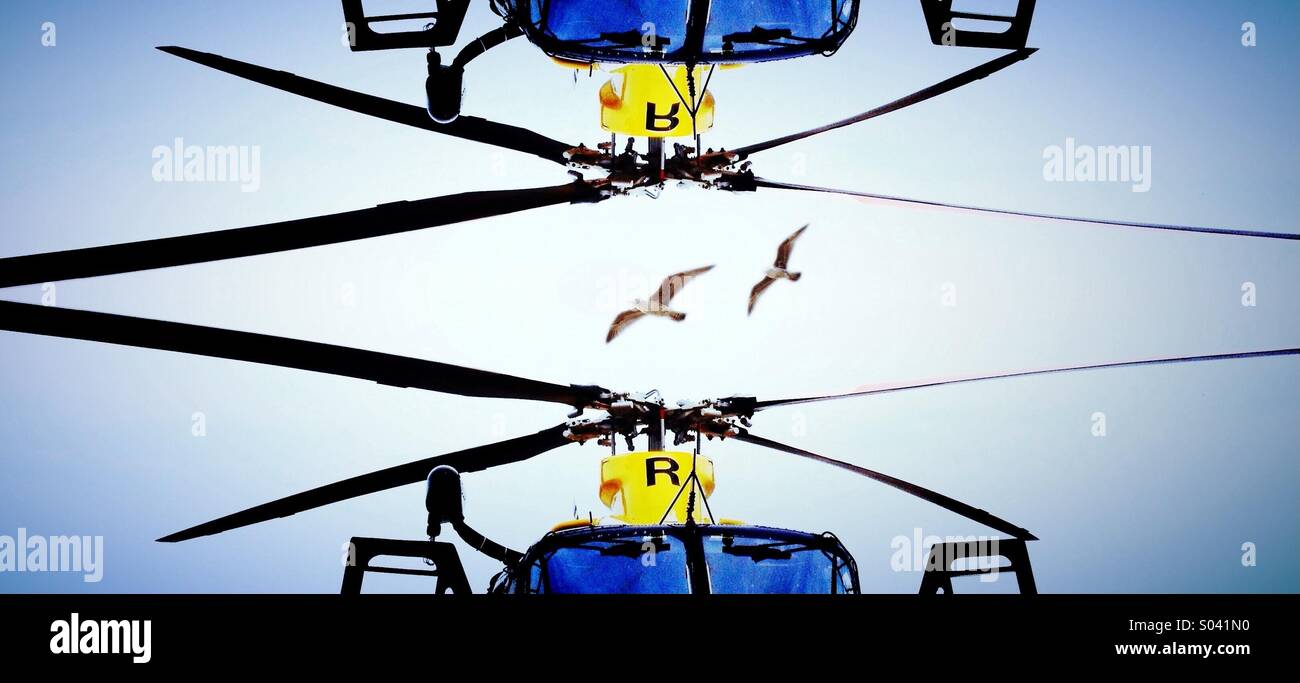Gabbiani e immagine speculare di elicotteri militari Foto Stock
