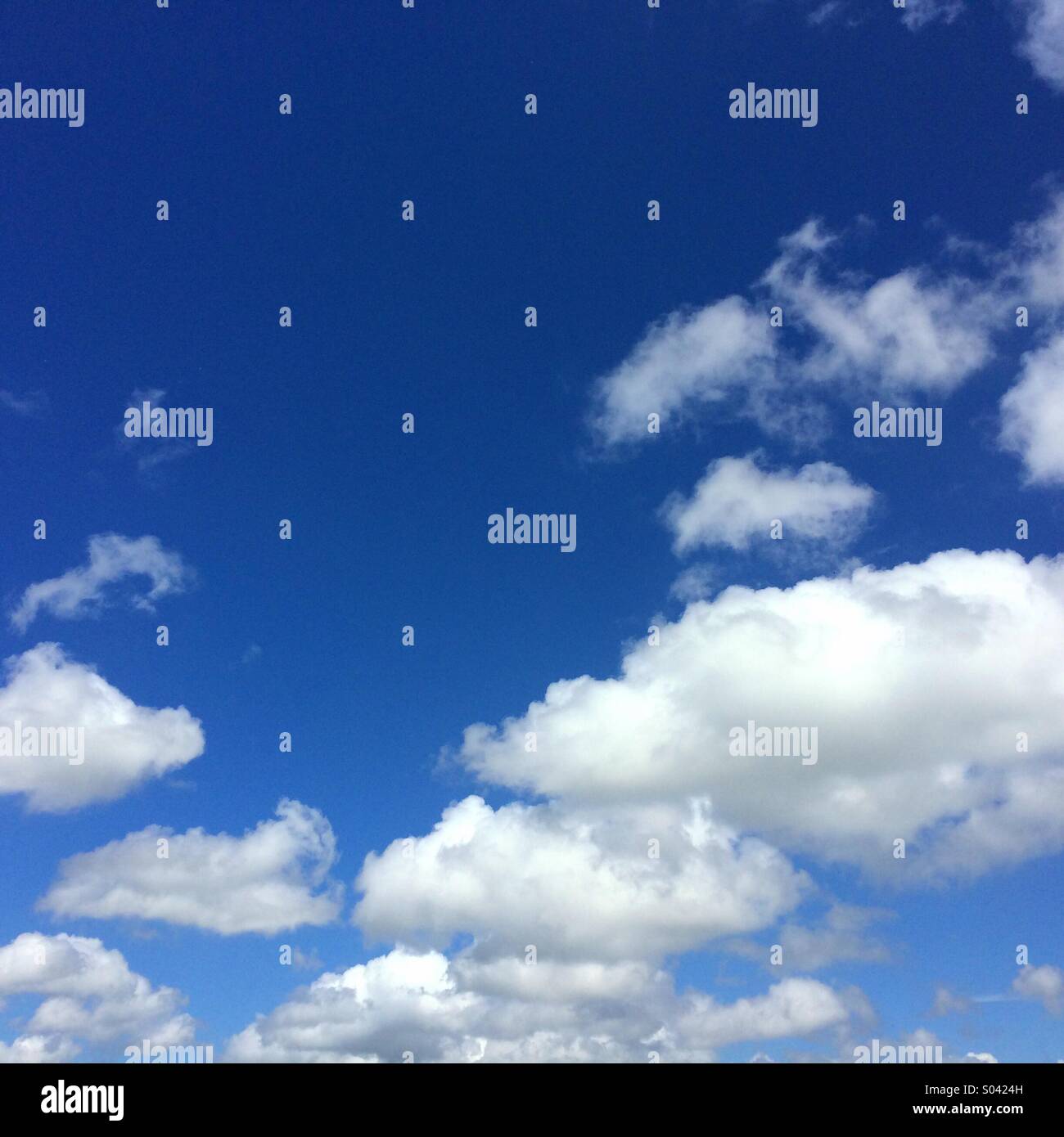 Cielo blu e soffici nuvole bianche possono essere utilizzati per lo sfondo con spazio per il testo Foto Stock