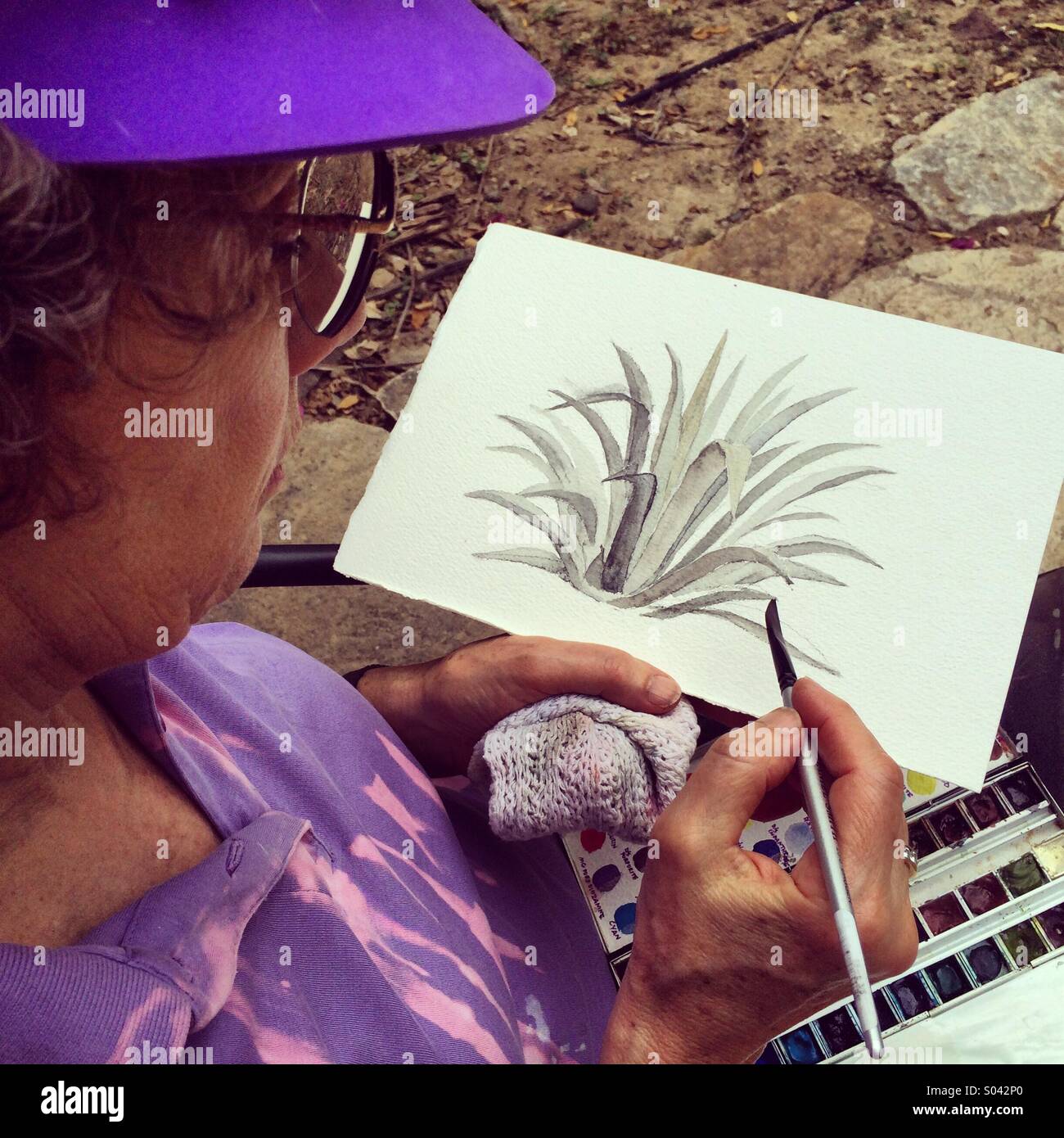 Martha Hill, donna artista pittura agave foglie in acquerelli. Riserva Chaparri, Perù Foto Stock