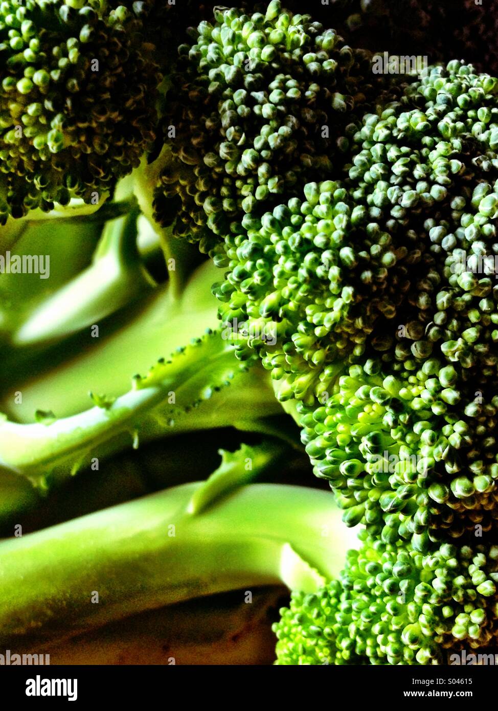 Texture di broccoli - Immagine stock catturata con smartphone