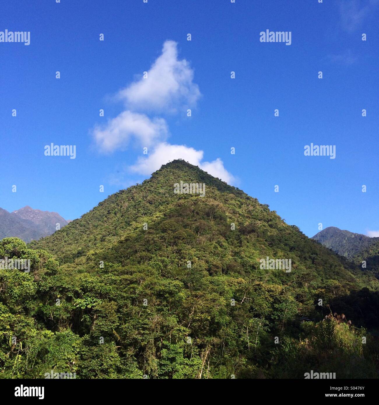 Nuvole, montagne delle Ande, cloud forest, Cosnipata Valley, il Parco Nazionale del Manu, Perù Foto Stock