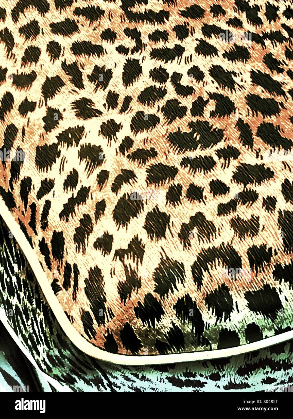 A pelle di leopardo sede Foto Stock
