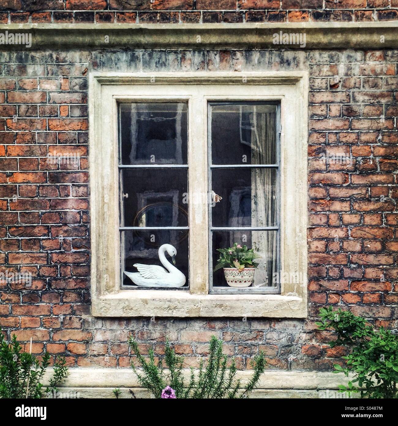 Ornamento del cigno nella finestra Foto Stock