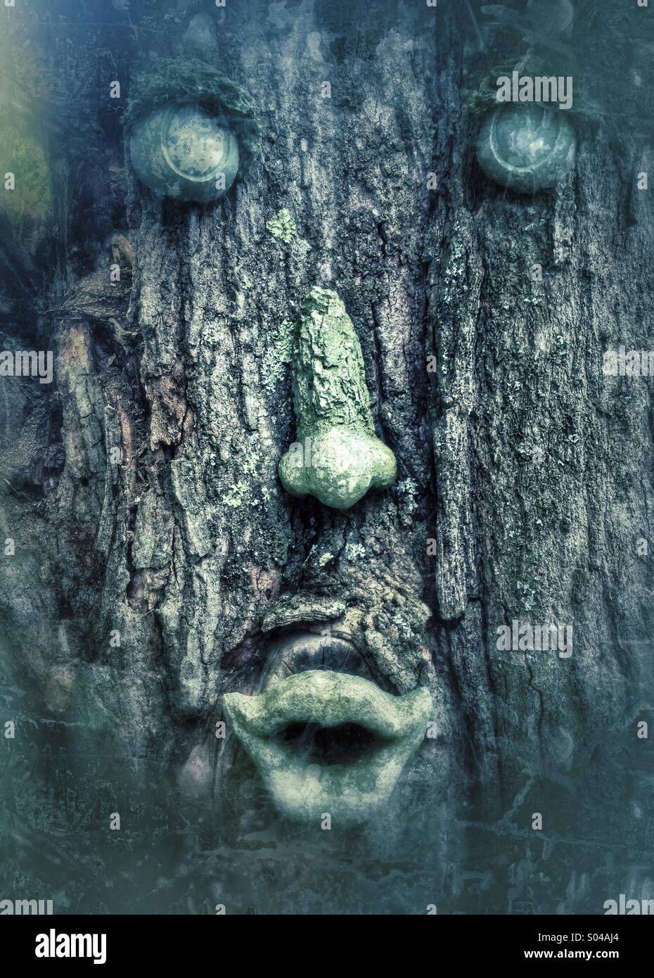 Scary tree ornamenti faccia sul tronco di albero - Immagine stock catturata con smartphone