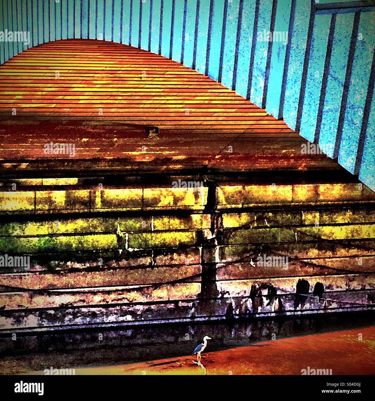 Heron in piedi in acqua sotto illumina il vecchio ponte ad arco - Immagine stock catturata con smartphone