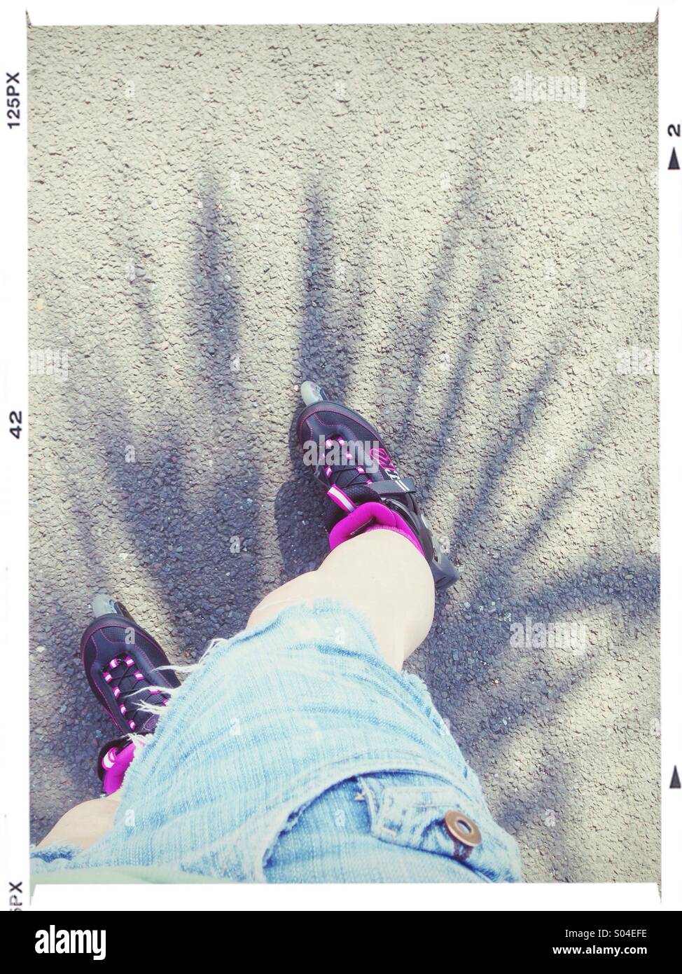 Lame a rullo e le ombre di Palm Foto Stock