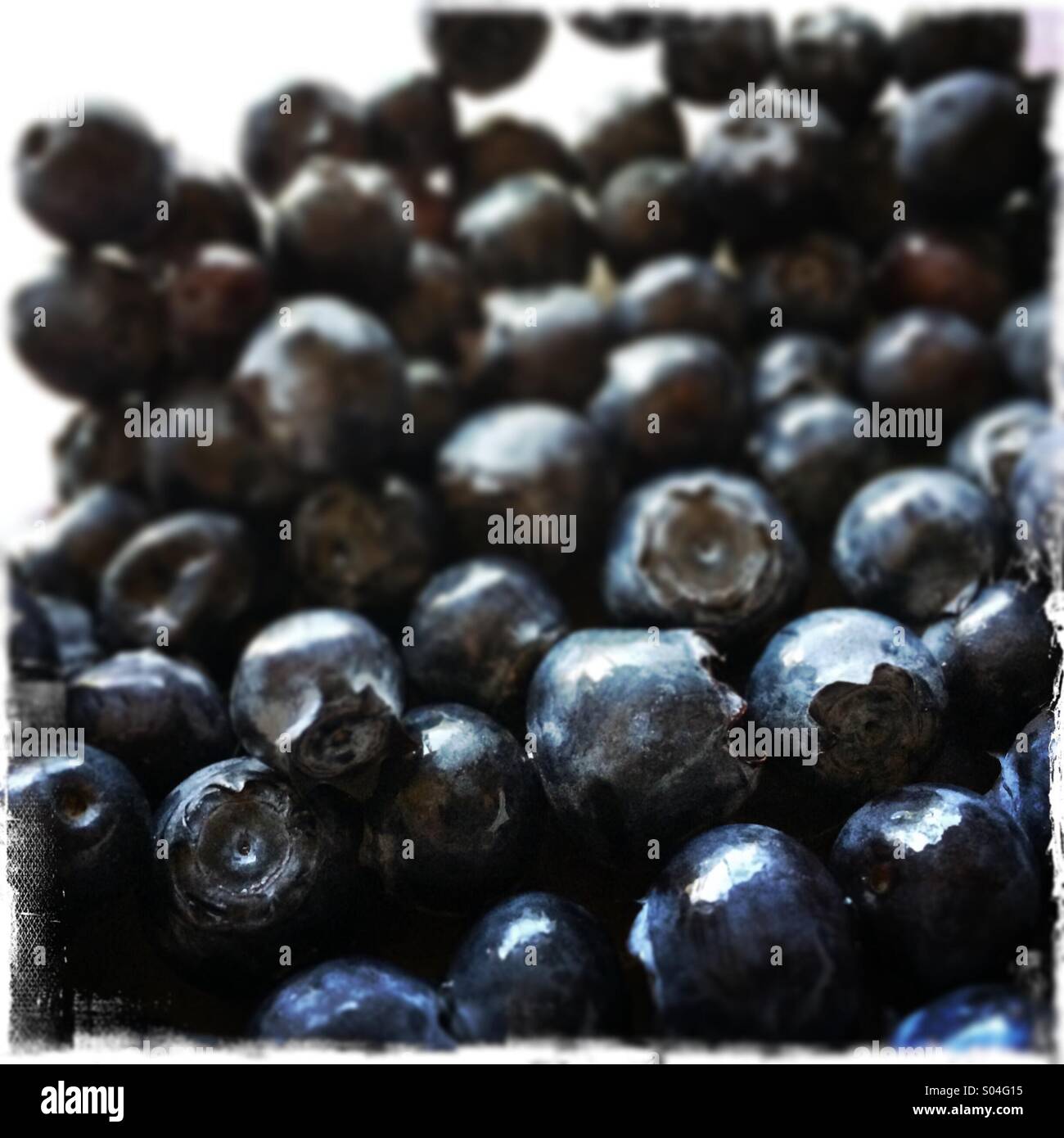 Mirtilli maturi - Immagine stock catturata con smartphone