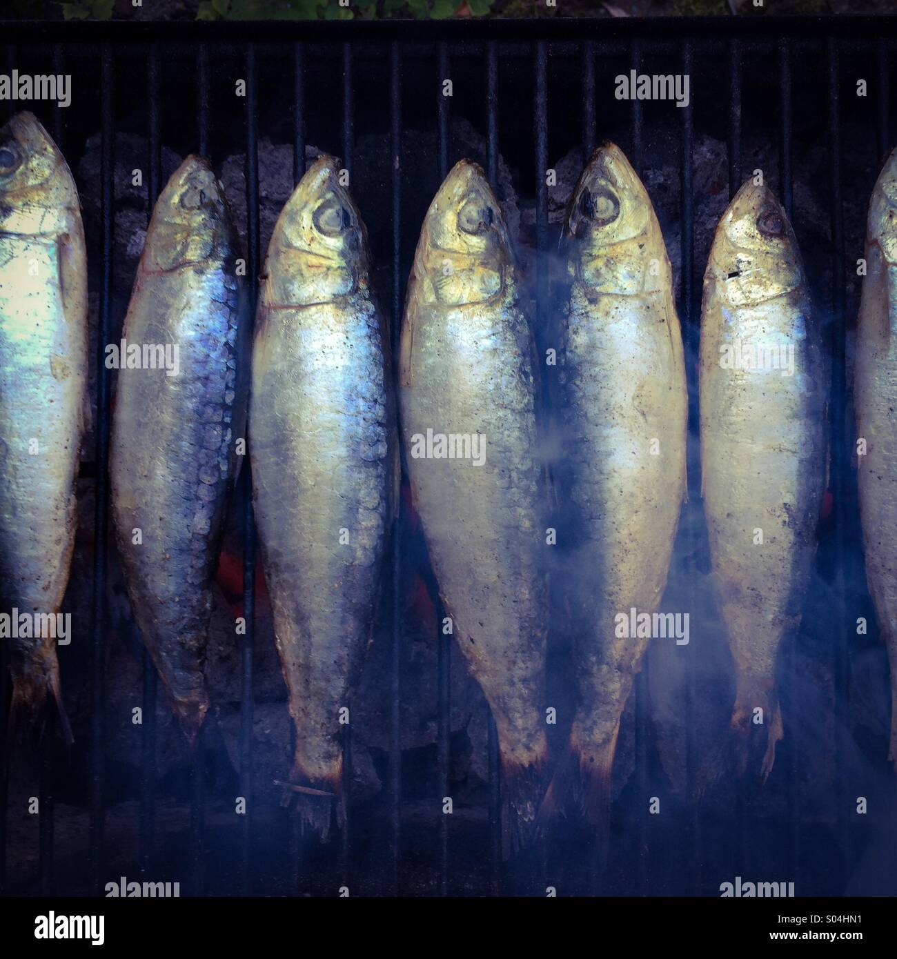 Sarde fresche su un barbecue Foto Stock