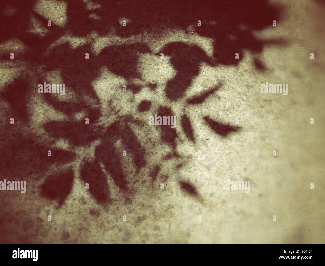 Ombre Foto Stock