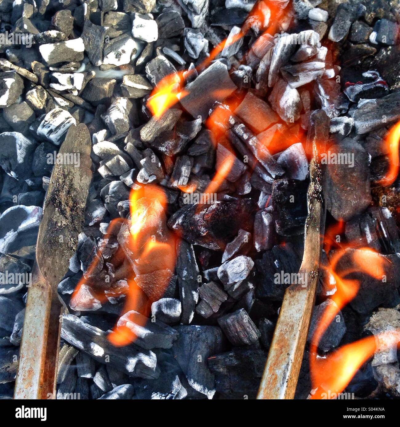 Carboni per barbecue e pinze Foto Stock