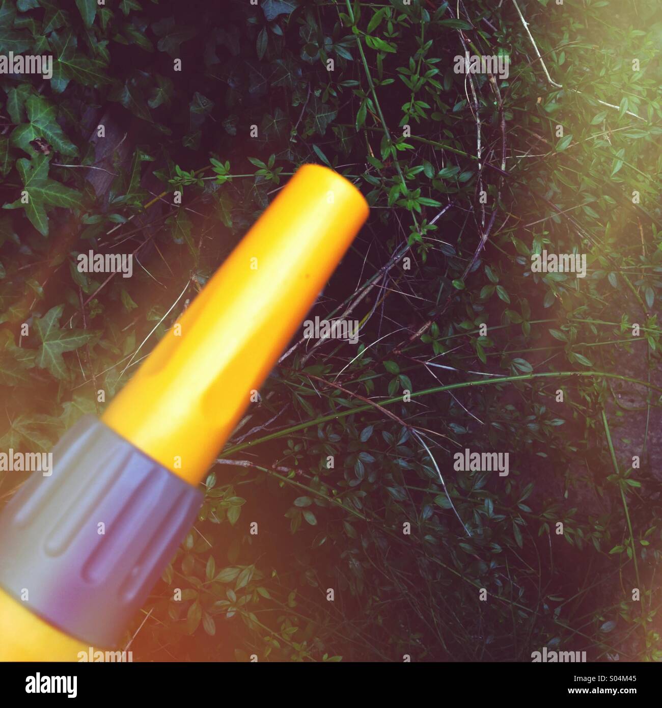 Ugello del tubo flessibile nel giardino in una giornata di sole. Foto Stock