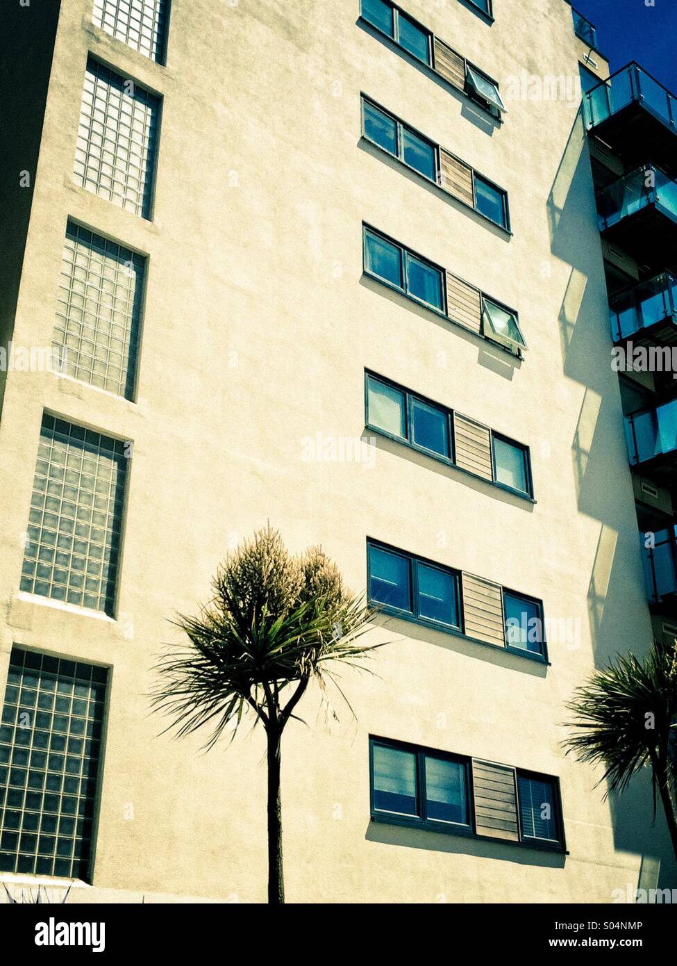 Il lone tree in alto - Immagine stock catturata con smartphone