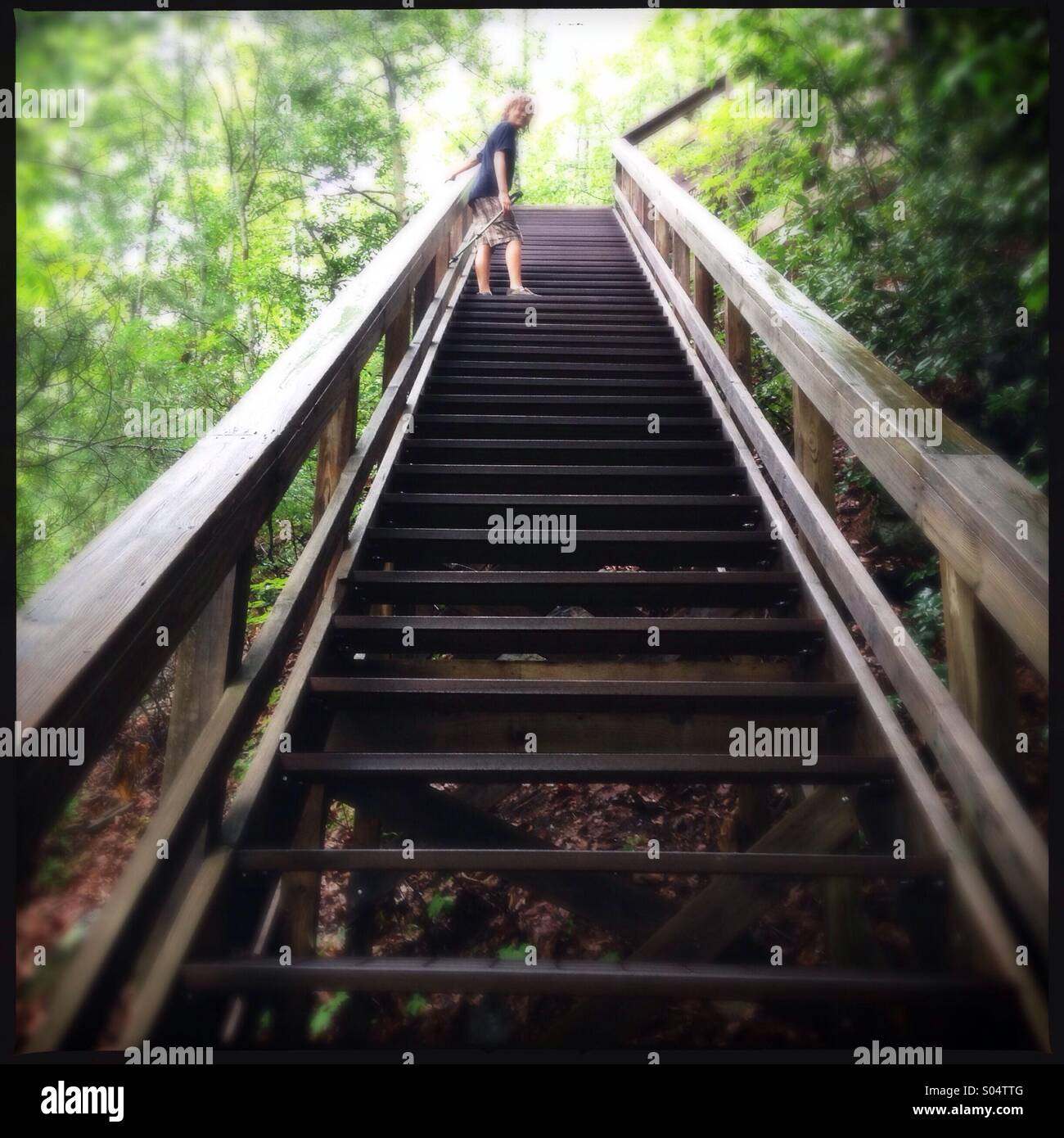 Tallulah gorge park in Georgia, Stati Uniti d'America Foto Stock