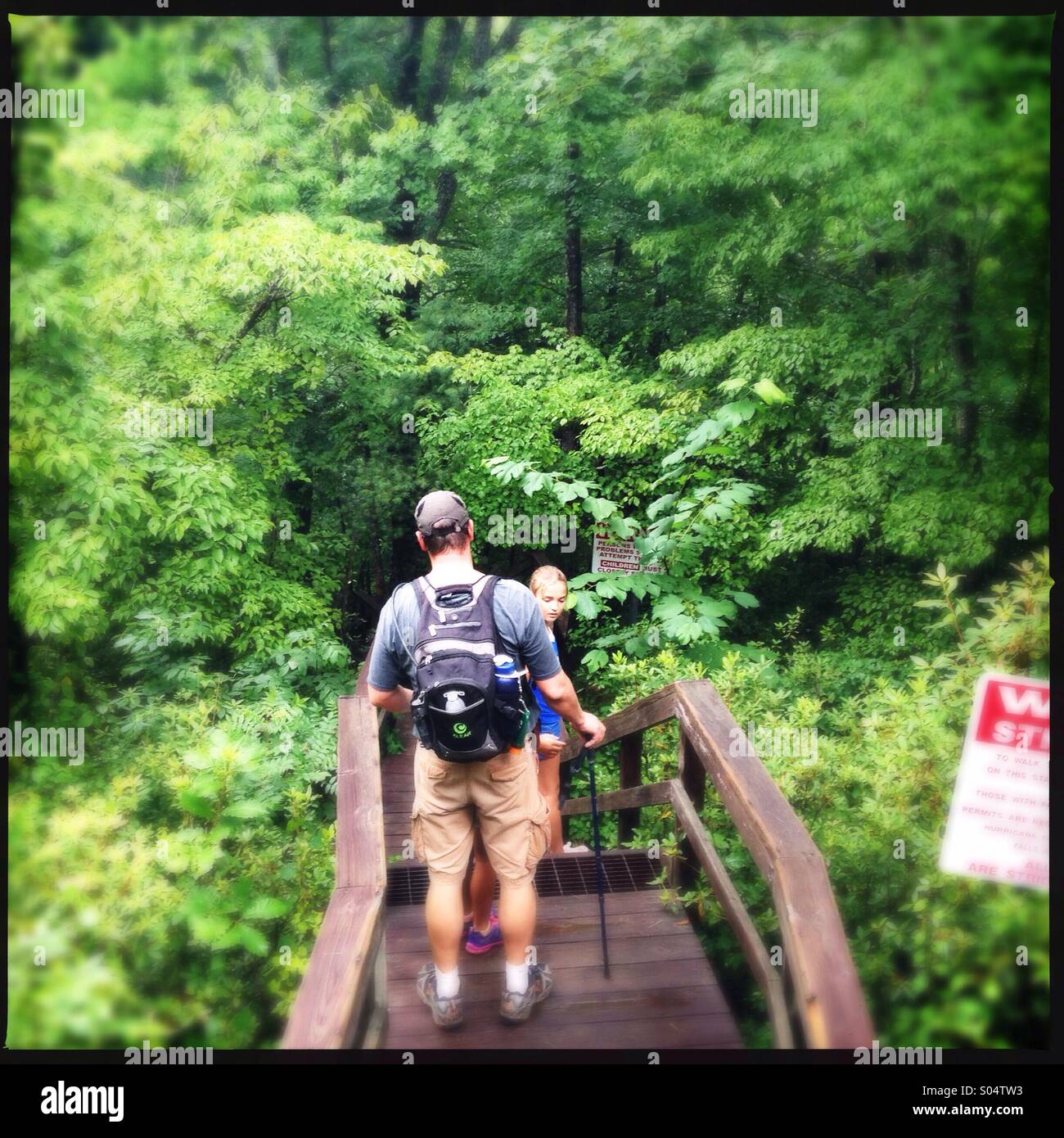 Escursionismo in Tallulah gorge parco dello stato della Georgia, Stati Uniti d'America Foto Stock