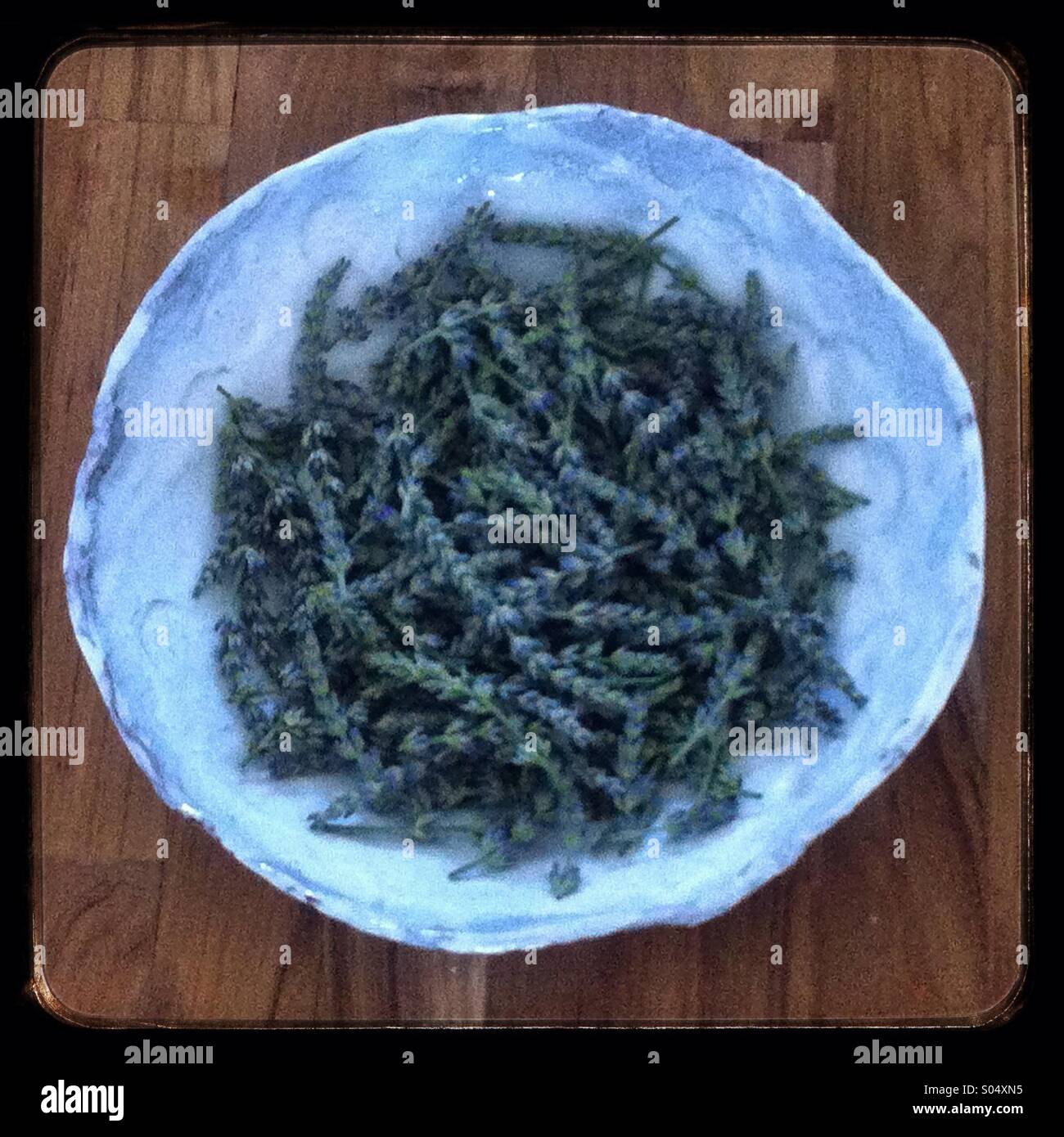 Ciotola di appena raccolto lavanda - Immagine stock catturata con smartphone