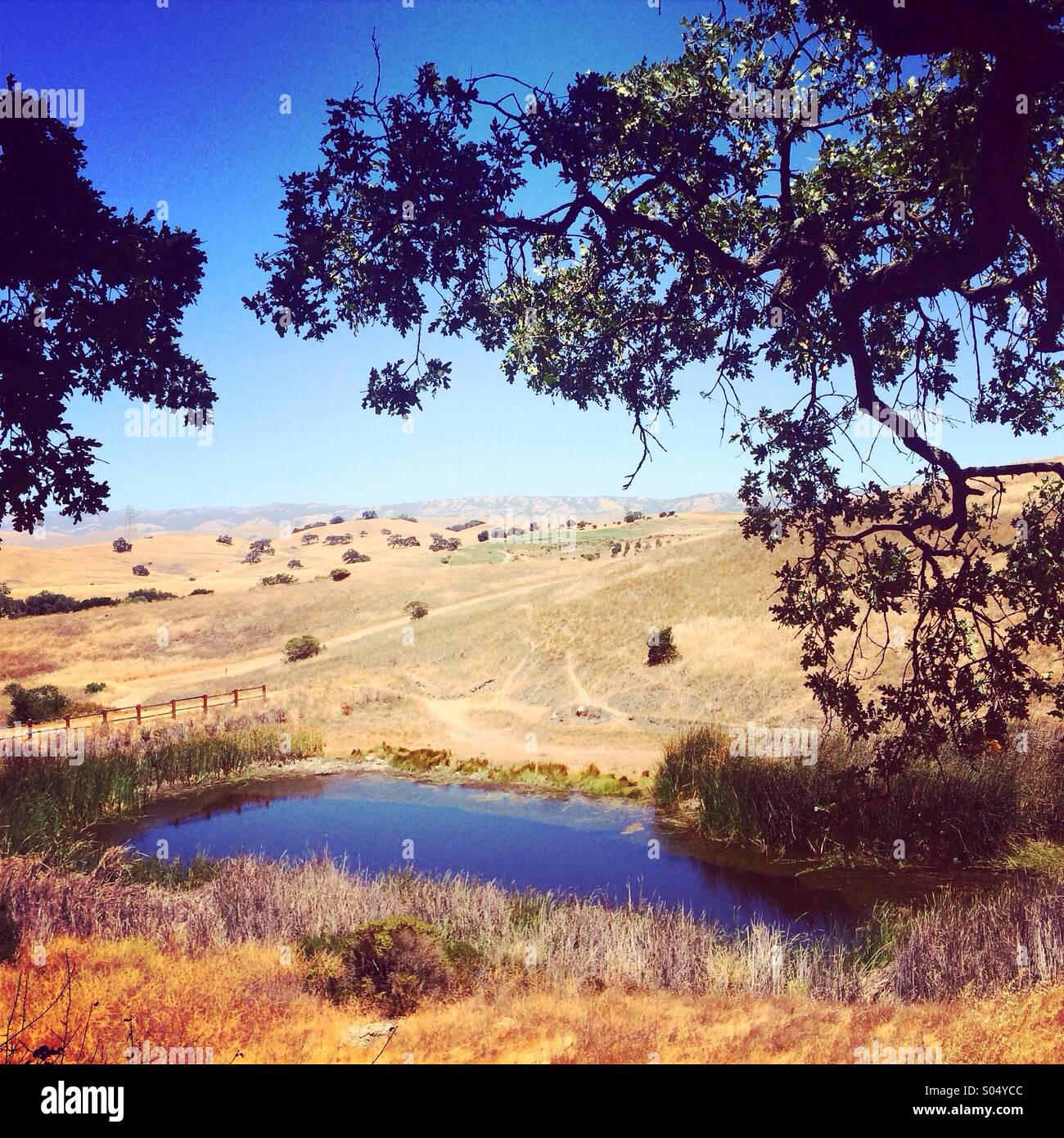 Calero serbatoio County Park Foto Stock