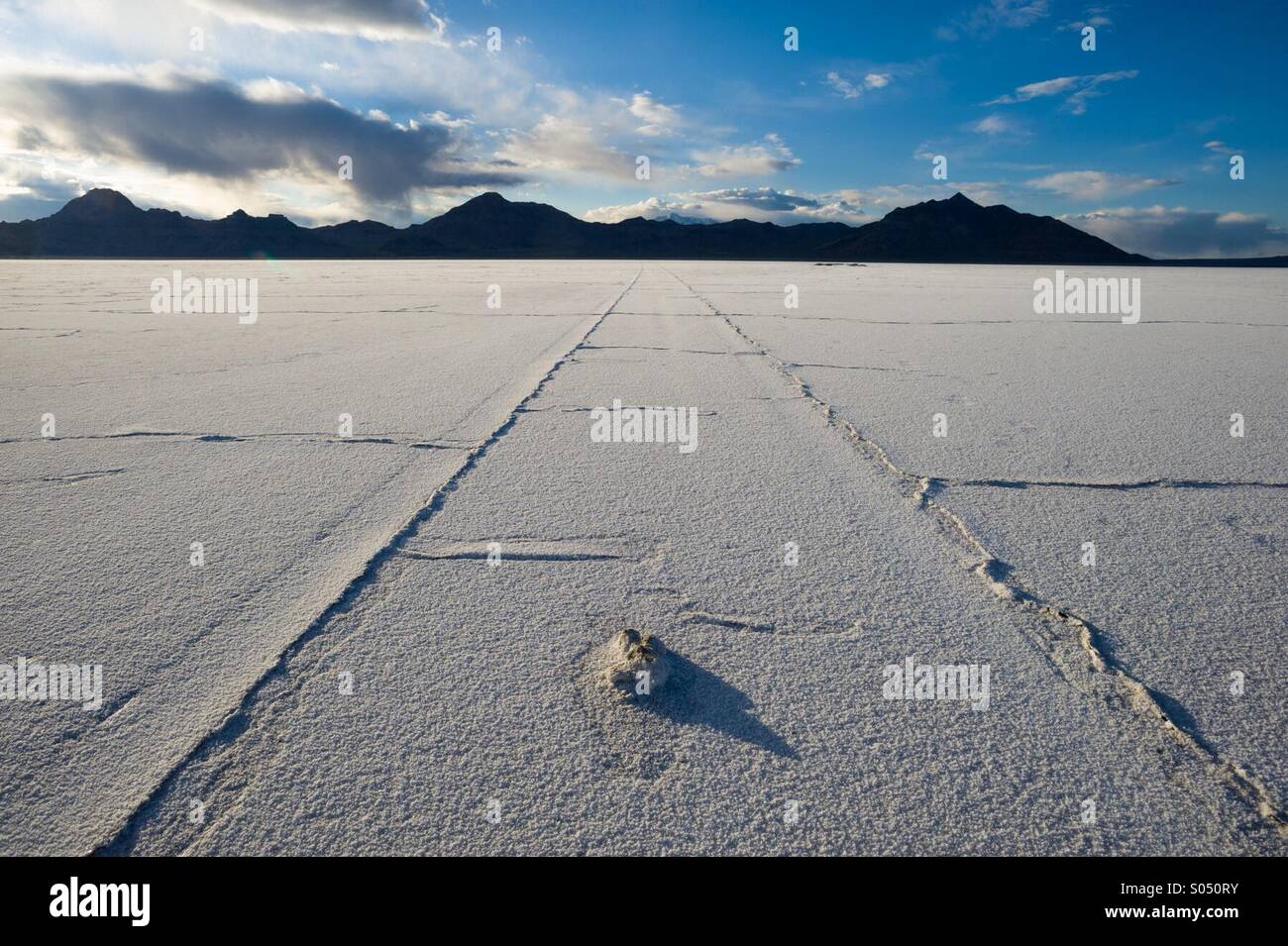 Le linee convergenti su saline e montagne al tramonto. Foto Stock