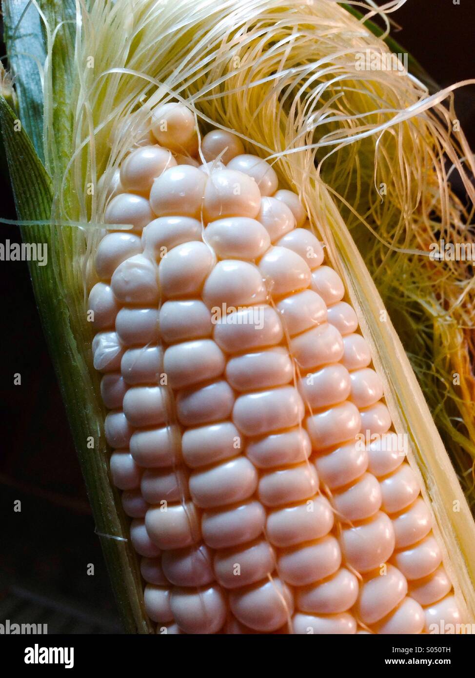 Dolce sulla pannocchia di mais - Immagine stock catturata con smartphone