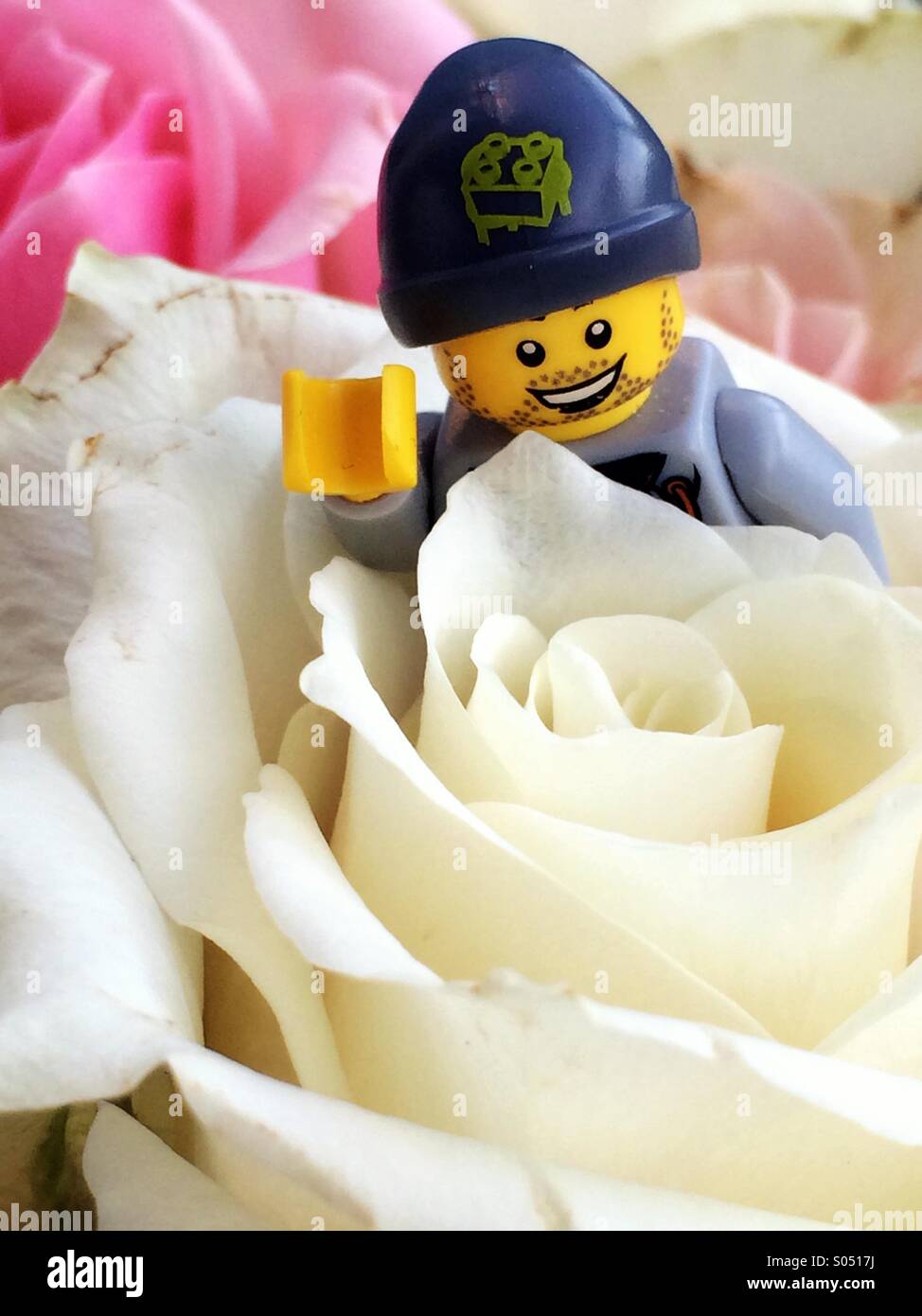 Minifigure LEGO: Arresto e profumo di rose Foto stock - Alamy