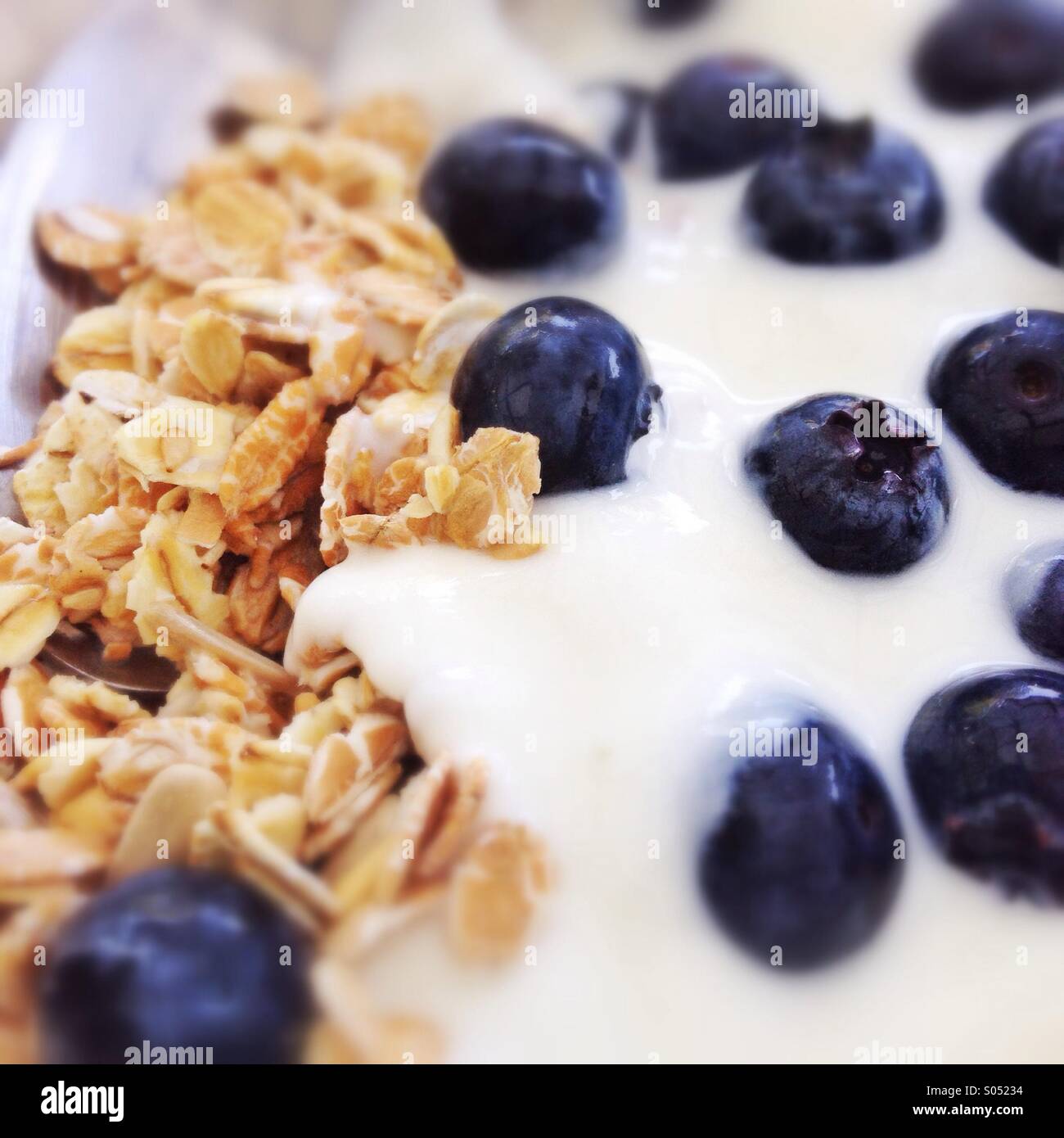 Yogurt, mirtilli e avena Foto Stock