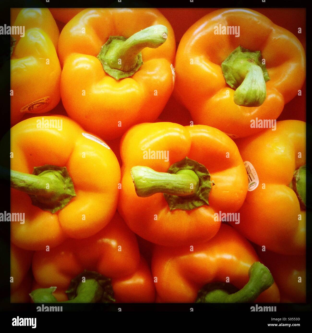 Peperoni arancioni Foto Stock