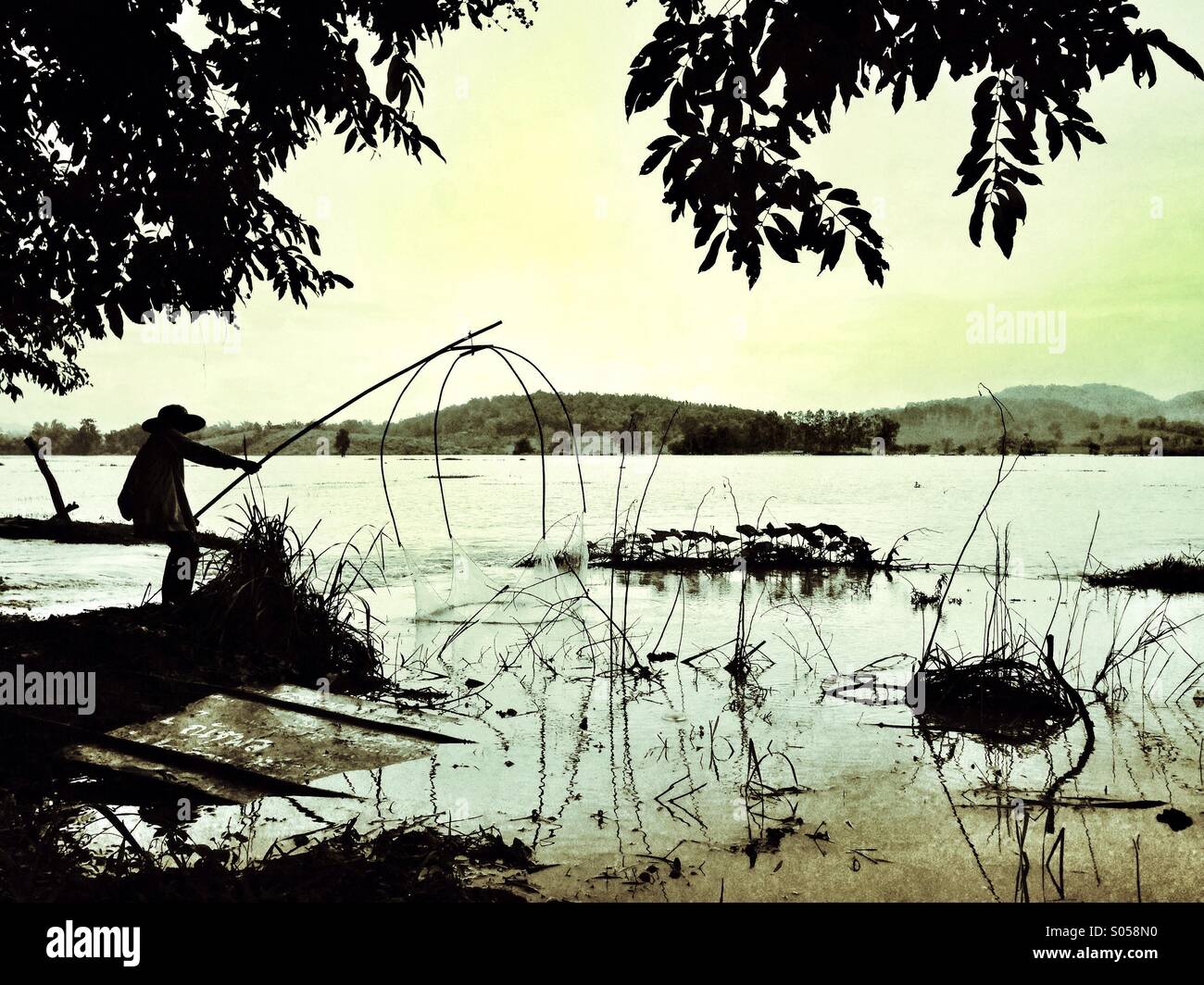 La pesca in un invaso campo di riso, Thailandia Foto Stock