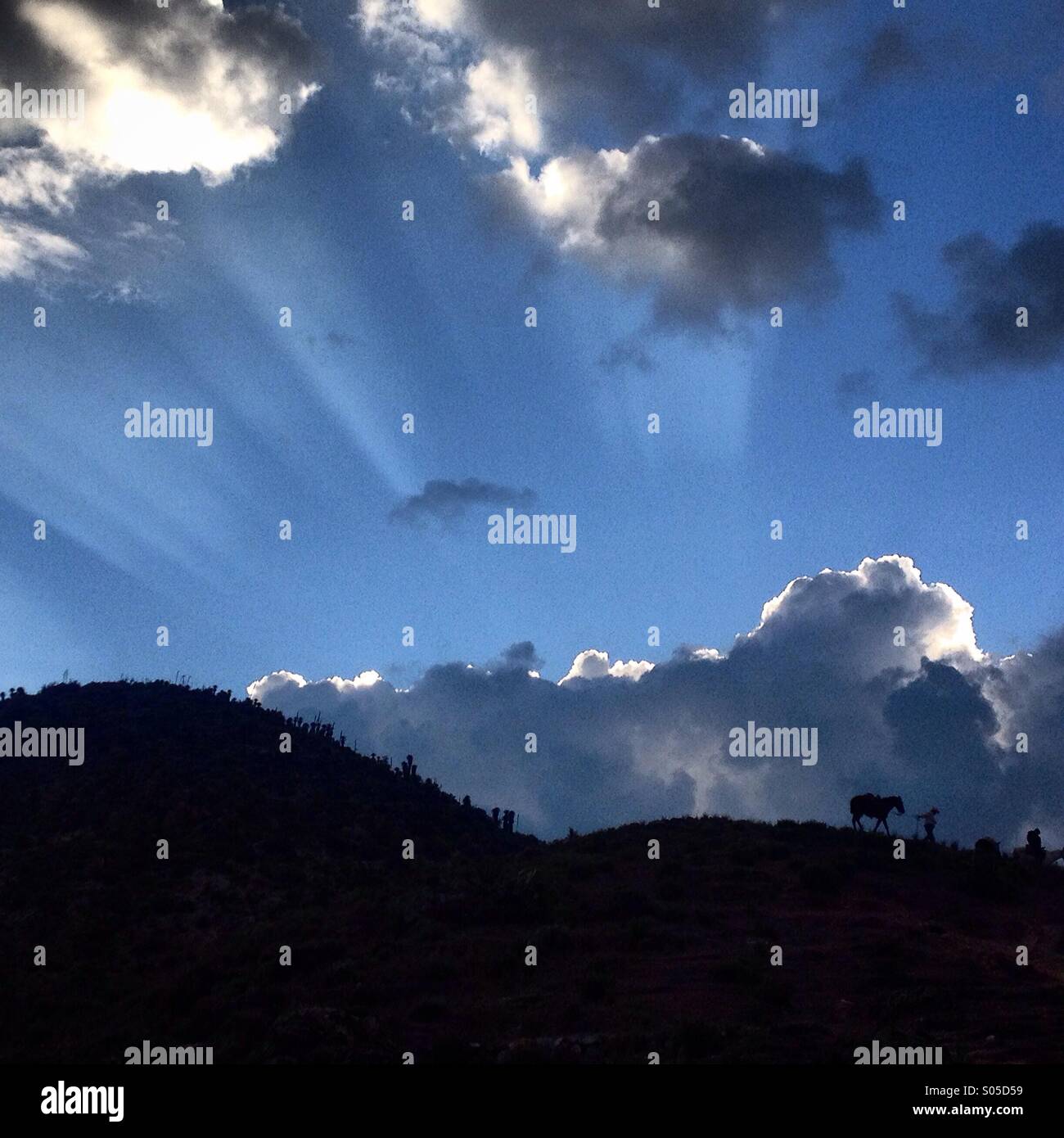 La silhouette di un uomo che porta il suo cavallo in Cerro Quemado montagna in Wirikuta,un luogo sacro per Wirarika o indigeni Huichol vicino a Real de Catorce, San Luis Potosi, Messico Foto Stock