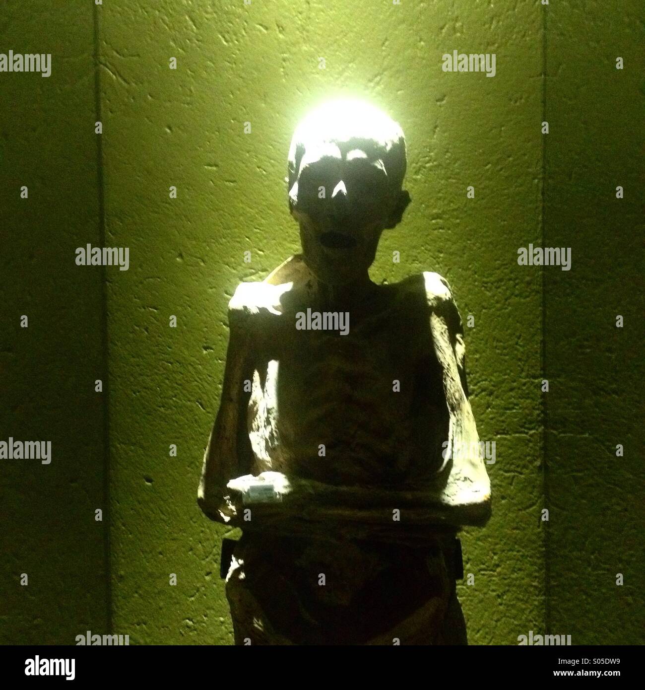 Mummia presso il 'Museo de las Momias' in Guanajuato. Le condizioni ambientali hanno reso possibile per più di 100 resti umani per diventare mummie. - Immagine stock catturata con smartphone