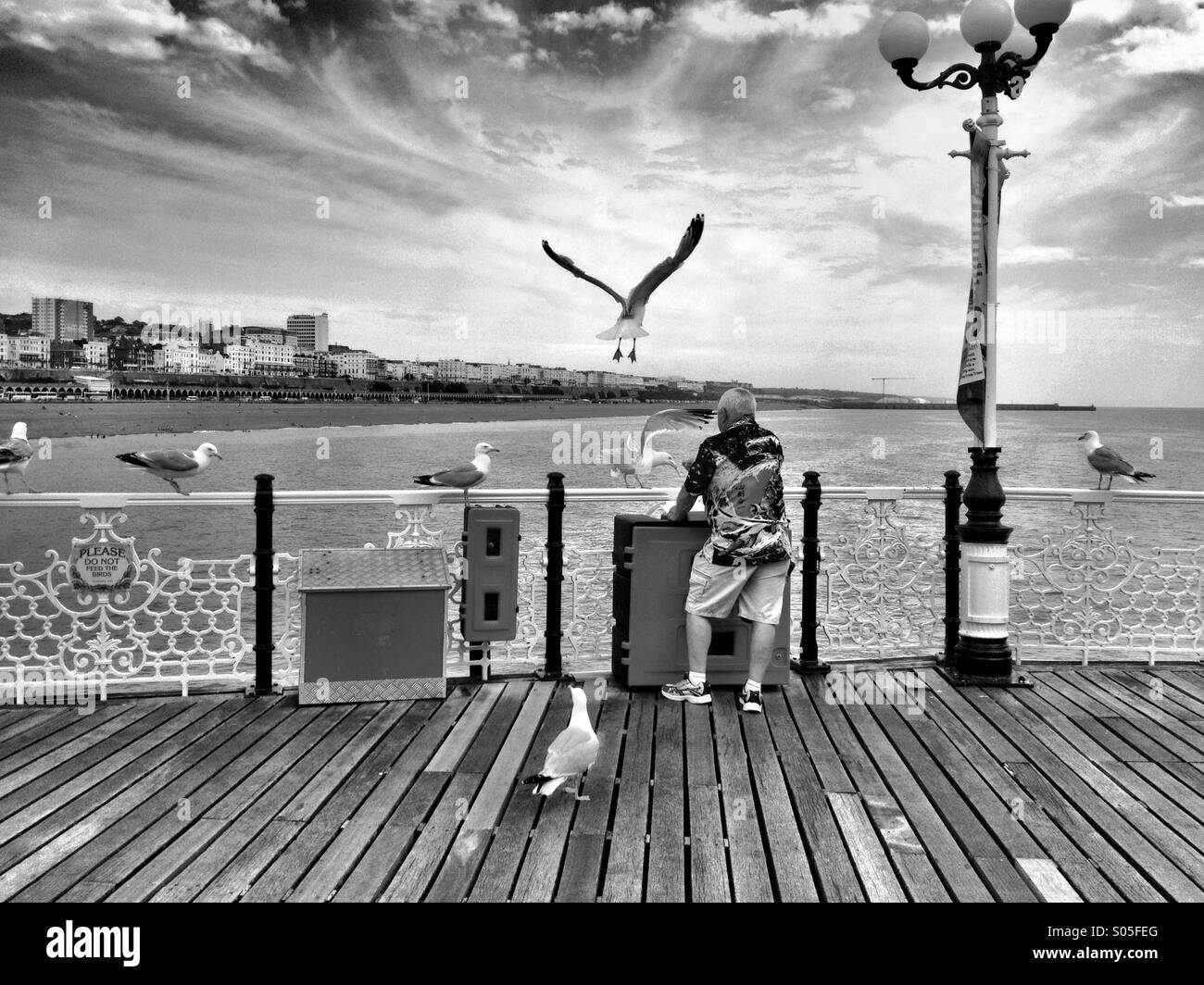 Un uomo alimenta i gabbiani sul molo di Brighton, Inghilterra, Regno Unito Foto Stock
