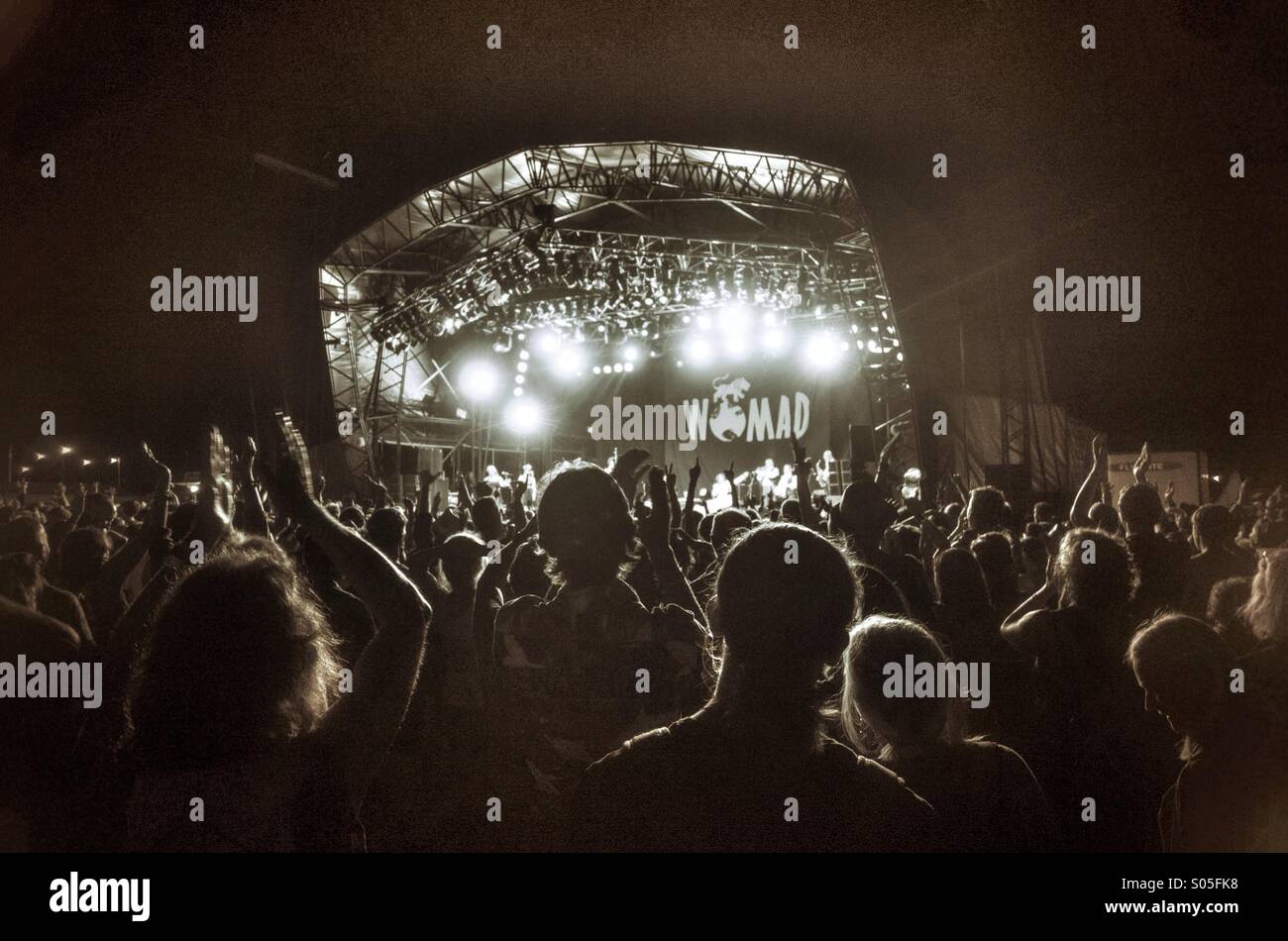 La folla del festival Womad Foto Stock