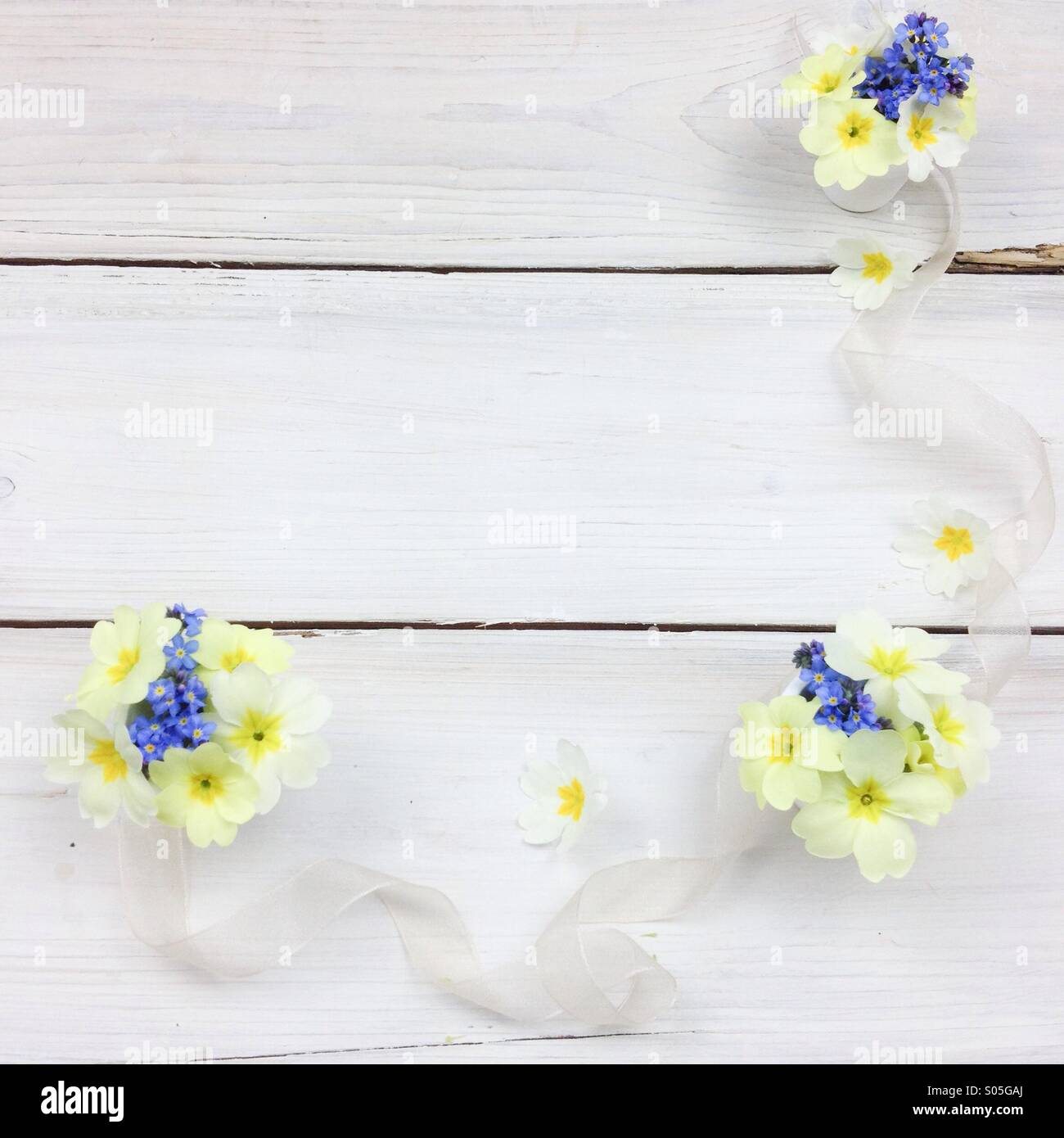 Molla posies fiabesco di primule e dimenticare me not bianco sul pannello di legno - Immagine stock catturata con smartphone